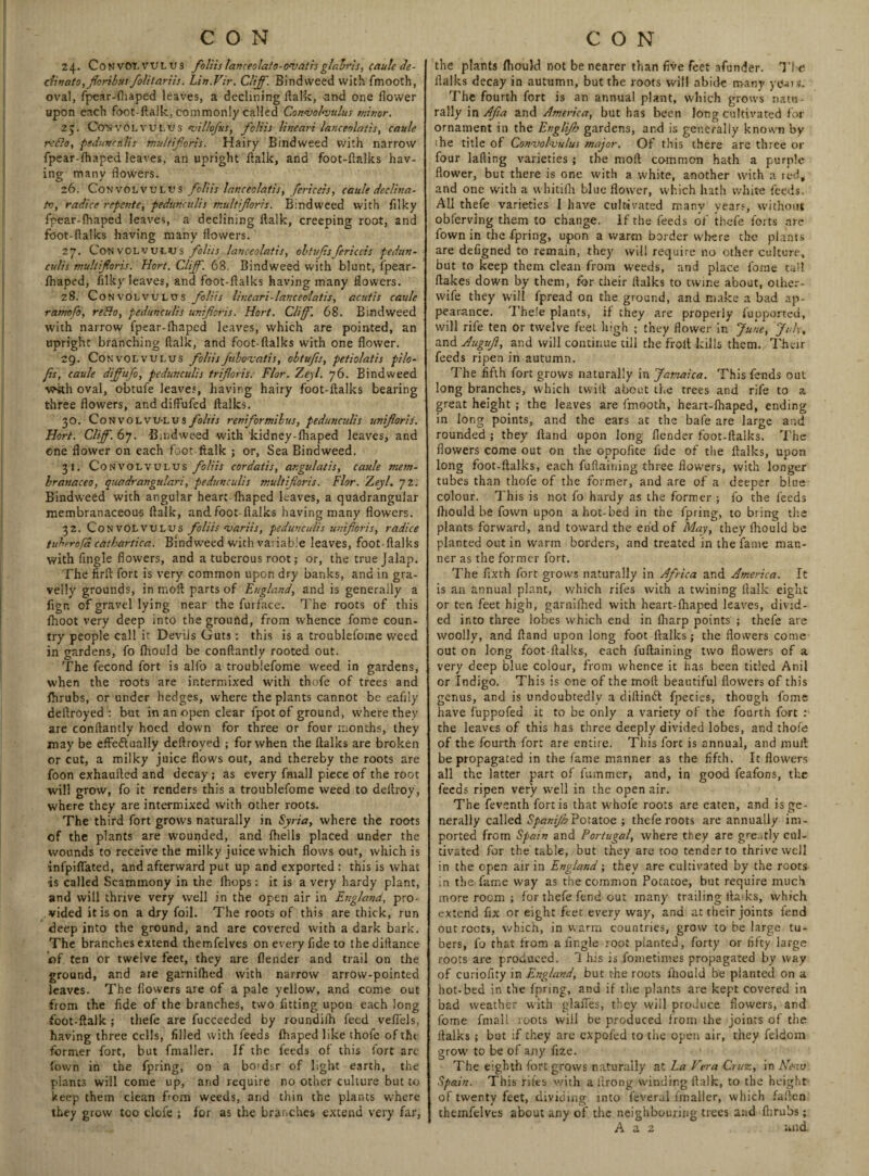 24. Convolvulus foliislanceolate-ovatisglabris, eaule de- dinato,foribus folitariis. Lin.Vir. Cliff. Bindweed with fmooth, oval, fpear-Shaped leaves, a declining ftalk, -and one flower upon each foot-ftalk, commonly called Convolvulus minor. 2y. Convolvulus villofus, foliis linear! lanceolatis, caule redo, pedunculis multif.oris. Hairy Bindweed with narrow fpear-fliaped leaves, an upright ftalk, and foot-ftalks hav¬ ing many flowers. 26. Convolvulus foliis lanceolatis, fericeis, caule decima¬ te, radice repente, pedunatlis multiforis. Bindweed with filky fpear-Shaped leaves, a declining ftalk, creeping root, and foot-flalks having many flowers. 27. Convolvulus foliis lanceolatis, obtufsfericeis pedun- culis multiforis. Hort. Cliff. 68. Bindweed with blunt, fpear- Shaped, Alky leaves, and foot-ftalks having many flowers. 28. Convolvulus foliis lineari-lanceolatis, acutis caule rarnefo, redo, pedunculis uniforis. Hort. Cliff. 68. Bindweed with narrow Spear-Shaped leaves, which are pointed, an upright branching ftalk, and foot-ftalks with one flower. 29. Convolvulus foliisfubovatis, obtufs, petiolatis pilo- fs, caule diffufo, pedunculis triforis. Flor. Zeyl. 76. Bindweed with oval, obtufe leaves, having hairy foot-ftalks bearing three flowers, and diffufed ftalks. 30. Convolvulus foliis reniformibus, pedunculis uniforis. Hort. Cliff. 67. Bindweed with kidney-fhaped leaves, and ene flower on each foot ftalk ; or, Sea Bindweed. 31. Convolvulus foliis cordatis, ar.gulatis, caule mem- branaceo, quadrangulari, pedunculis multiforis. Flor. Zeyl. 72. Bindweed with angular heart Shaped leaves, a quadrangular membranaceous ftalk, and foot-ftalks having many flowers. 32. Convolvulus foliis variis, pedunculis uniforis, radice tuherofa cathartica. Bind weed with variable leaves, foot-flalks with Angle flowers, and a tuberous root; or, the true Jalap. The firft fort is very common upon dry banks, and in gra¬ velly grounds, in moft parts of England, and is generally a fign of gravel lying near the furface. The roots of this ftioot very deep into the ground, from whence fome coun¬ try people call it Devils Guts: this is a troublefoine weed in gardens, fo Should be conftantly rooted out. The fecond fort is alfo a troub'efome weed in gardens, when the roots are intermixed with thofe of trees and Shrubs, or under hedges, where the plants cannot be eaftly deftroyed : but in an open clear fpot of ground, where they are conftantly hoed down for three or four months, they may be efFe&ually deftroyed ; for when the ftalks are broken or cut, a milky juice flow's out, and thereby the roots are foon exhaufted and decay; as every fmall piece of the root will grow, fo it renders this a troublefome weed to deftroy, where they are intermixed with other roots. The third fort grows naturally in Syria, where the roots of the plants are wounded, and Shells placed under the wounds to receive the milky juice which flows out, which is infpiflated, and afterward put up and exported : this is what is called Scammony in the Shops: it is a very hardy plant, and will thrive very well in the open air in England, pro¬ vided it is on a dry foil. The roots of this are thick, run deep into the ground, and are covered with a dark bark. The branches extend themfelves on every fide to thediftance of ten or twelve feet, they are Slender and trail on the ground, and are garnished with narrow arrow-pointed leaves. The flowers are of a pale yellow, and come out from the fide of the branches, two fitting upon each long foot-ftalk ; thefe are fucceeded by roundifh feed veftels, having three cells, filled with feeds Shaped like thofe of the former fort, but fmaller. If the feeds of this Sort arc Sown in the fpring, on a bo>dsr of light earth, the plants will come up, and require no other culture but to keep them clean from weeds, and thin the plants where they grow too clofe ; for as the branches extend very far, the plants Should not be nearer than five feet afunder. Ti e ftalks decay in autumn, but the roots will abide many years- The fourth fort is an annual plant, which grows natu¬ rally in Zifa and America, but has been long cultivated for ornament in the Englijh gardens, and is generally known by the title of Convolvulus major. Of this there are three or four lafting varieties ; the moft common hath a purple flower, but there is one with a white, another with a red, and one with a whitish blue flower, which hath white feeds. All thefe varieties 1 have cultivated many years, without observing them to change. If the feeds of thefe forts are fown in the fpring, upon a warm border where the plants are defigned to remain, they will require no other culture, but to keep them clean from weeds, and place Some tall flakes down by them, for their ftalks to twine about, other- wife they will fpread on the ground, and make a bad ap¬ pearance. Thele plants, if they are properly Supported, will rife ten or twelve feet high ; they flower in June, July, and Auguf, and will continue till the froit kills them. Their feeds ripen in autumn. The fifth fort grows naturally in Jamaica. This fends out long branches, which twit! about the trees and rife to a great height ; the leaves are Smooth, heart-Shaped, ending in long points, and the ears at the bafe are large and rounded ; they Hand upon long Slender foot-ftalks. The flowers come out on the oppofite fide of the ftalks, upon long foot-ftalks, each fuflaining three flowers, with longer tubes than thofe of the former, and are of a deeper blue colour. This is not fo hardy as the former ; fo the feeds Should be fown upon a hot-bed in the fpring, to bring the plants forward, and toward the end of May, they Should be planted out in warm borders, and treated in the fame man¬ ner as the former fort. The fixth fort grows naturally in Africa and America. It is an annual plant, which rifes with a twining ftalk eight or ten feet high, garnished with heart-Shaped leaves, divid¬ ed into three lobes which end in Sharp points ; thefe are woolly, and ftand upon long foot Slalks; the flowers come out on long foot-ftalks, each fuflaining two flowers of a very deep blue colour, from whence it has been titled Anil or Indigo. This is one of the moft beautiful flowers of this genus, and is undoubtedly a diftinft Species, thougli fome have Suppofed it to be only a variety of the fourth fort : the leaves of this has three deeply divided lobes, and thofe of the fourth fort are entire. This fort is annual, and mult be propagated in the fame manner as the fifth. It flowers all the latter part of Summer, and, in good feafons, the feeds ripen very well in the open air. The Seventh fort is that whole roots are eaten, and is ge¬ nerally called Spaniff Potatoe ; thefe roots are annually im¬ ported from Spain and Portugal, where they are greatly cul¬ tivated for the table, but they are too tender to thrive well in the open air in England; they are cultivated by the roots in the-fame way as the common Potatoe, but require much more room ; for thefe fend out many trailing flaks, which extend fix or eight feet every way, and at their joints fend out roots, which, in warm countries, grow to be large tu¬ bers, fo that Irom a Angle root planted, forty or fifty large roots are produced. 1 his is.fometimes propagated by way of curiofity in England, but the roots Should be planted on a hot-bed in the fpring, and if the plants are kept covered in bad weather with glalTes, they will produce flowers, and fome fmall roots vviil be produced from the joints of die ftalks ; but if they are expofed to the open air, they Seldom grow to be of any flze. The eighth fort grows naturally at La Fera Cruz, in ATe-vs Spain. This rifes with a Strong winding ftalk, to the height of twenty feet, dividing into feveral fmaller, which fallen themfelves about any of the neighbouring trees and Shrubs; A a 2 and