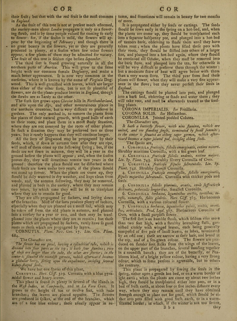 their fruit; but that with the red fruit is the moll common in England. As the fruit of this tree is not at prefent much elleemed, the nurfery-men about London propagate it only as a flower¬ ing Ihrub, and is by fome people valued for coming fo early to flower: for, if the feafon is mild, the flowers will ap¬ pear by the beginning of February ; and though there is * no great beauty in the flowers, yet as they are generally produced in plenty, at a feafon when few other flowers appear, a few plants of them may be admitted for variety. The fruit of this tree is feldom ripe before September. The third fort is found growing naturally in all the northern parts of America. This will grow to the fame height with our common female Dogberry, and make a much better appearance. It is now very common in the nurferies, where it is known by the name of Virginia Dog¬ wood. This is well garnilhed with leaves, which are larger than either of the other forts, but is not fo plentiful of flowers, nor do the plants produce berries in England, though the fhrubs are as hardy as the other. The flxth fort grows upon Cheviot hills in Northumberland, and alfo upon the Alps, and other mountainous places in the northern countries, but is very difficult to preferve in gardens. The only method is, to remove the plants from the places of their natural growth, with good balls of earth to their roots, and plant them in a moift fhady fituation, where they are not annoyed by the roots of other plants. In fuch a fituation they may be preferved two or three years, but it rarely happens that they will continue longer. All the forts of Dogwood may be propagated by their feeds, which, if fown in autumn loon after they are ripe, will mofl of them come up the following fpring ; but, if the feeds are not fown in autumn, they will lie a year in the ground before the plants will appear ; and, when the feafon proves dry, they will fometimes remain two years in the ground : therefore the place fhould not be diflurbed where thefe feeds are fown under two years, if the plants fhould not como up fooner. When the plants are come up, they fnould be duly watered in dry weather, and kept clean from weeds, and, the autumn following, they may be removed, and planted in beds in the nurfery, where they may remain two years, by which time they will be fit to tranfplant where they are to remain for good. They are alfo propagated by fuckers, and laying down of the branches. Moft of the forts produce plenty of Tuckers, efpecially when they are planted on a moift foil, which may be taken oft' from the old plants in autumn, and planted into a nurfery for a year or two, and then may be tranf- planted into the places where they are to remain ; but thofe plants which are propagated by fuckers, rarely have fo good roots as thofe which are propagated by layers. CORNUTIA. Plum. Nov. Gen. 17. Lin. Gen. Plant. 684. The Characters are, Fhe fewer has one petal, having a cylindrical tube, which is divided into four parts at the top ; it hath four Jiamina; two of thefe are longer than the tube, the other are Jkorter; in the center is ftuated the roundijh germev, which afterward becomes a globular berry, fitting upon the empalement, inclofng feveral kidney-fraped feeds. We have but one Sfecies of this plant, Cornutia. Hot. Cliff. 319. Cornutia with a blue pyra¬ midal flower and hoary leaves. This plant is found in plenty in feveral of the iflands in the IPef-Indies, at Cawpeacby, and at La Vera Cruz.. It grows to the height cf ten or twelve feet, with rude branches; the leaves are.placed oppofite. The flowers are produced in fpikes, at the end of the branches, which are of a fine blue colour; thefe ufually appear in au- tumn, and fometimes will remain in beauty for two months of more. It is propagated either by feeds or cuttings. The feeds fhould be fown early in the fpring on a hot-bed, and, when the plants are come up, they fhould be tranfplanted each into a feparate halfpenny pot, and plunged into a hot-bed of tanners bark, obferving to fhade them until they have taken root ; when the plants have filled thefe pots with their roots, they fhould be fhifted into others of a larger fize, and plunged into a hot-bed again, where they fhould be continued till October, when they muft be removed into the bark fiove, and plunged into the tan, for otherwife it will be very difficult to preferve them through the winter : but a moderate fhare of heat will agree better with them than a very warm ftove. The third year from feed thefe plants will flower, when they will make a very fine appear¬ ance in the llove; but they never perfeft their feeds in England. The cuttings fhould be planted into pots, and plunged into a bark bed, obferving to fhade and water them ; they will take root, and muft b* afterwards treated as the feed- ling plants. CORONA IMPERIALIS. See Fritillaria. CORONA SOLIS. Helianthus. CORONILLA. Jointed-podded Colutea. The Characters are, It hath a butterfy flower, with nine famina, which are united, and one fanding Jingle, terminated by fmall fummits ; in the center is ftuated an oblong taper germen, which after¬ ward becomes a taper jointed pod, inclofng oblong feeds. The Species are, X. Coronilla fruticofa, fcliolis emarginatis, exthno tninore.. Shrubby maritime Coronilla, with a fea-green leaf. 2. Coronilla fruticofa foliolis undenis, extimo majore. Lin. Sp. Plant. 743. Shrubby filvery Coronilla of Crete. 3. Coronilla fruticofa fipulis fubrotundis. Lin. Sp. Plant. 742. Shrubby Spani/h Coronilla. 4. Coronilla fruticofa enneaphylla, foliolis emarginatis, fipulis snajoribus fubrotundis. Coronilla with thicker pods and feeds. 5. Coronilla foliolis plurimis, ovatis, caule fiffruticofo dcclinato, pedunculis longioribus. Smalleft Coronilla. 6. Coronilla herbacea, leguminibus erect is, teretibus, to- rofs, mmerofs, foliis glabris. Hort. Cliff. 363• Herbaceous Coronilla, w'ith a various coloured flower. 7. Coronilla herbacea, leguminibus quinis, ereClis, tereti¬ bus, articulatis. Prod. Leyd. 387. Herbaceous Coronilla of Crete, with a fmall purplifh flower. Thefirft fort is an humble fhrub, which feldom rifes more than two feet high, with a fhrubby branching ftalk, gar- nifhed clofely with winged leaves, each being generally compofed of five pair of fmall leaves, or lobes, terminated by an odd one ; thefe are narrow at their bafe, and broad at the top, and of a fea-green colour. The flowers are pro¬ duced on flender foot-ltaiks from the wings of the leaves, on the upper part of the branches, feveral ftanding together in a roundifh bunch ; they are of the butterfly, or Pea- bloom kind, of a bright yellow colour, having a very ftrong odour, which to fome perfons is agreeable, but to others the contrary. This plant is propagated by fowing the feeds in the fpring, either upon a gentle hot-bed, or on a warm border of ight earth ; when the plants are come up about two inches high, they fhould be tranfplanted either into pots, or in a bed of frefh earth, at about four or five inches diftance every way, where they may remain until they have obtained ftrength enough to plant out for good, which fhould be ei¬ ther into pots filled with good frefh earth, or in a warm- fituated border; in which, if the winter is not too fevere, B b 2 they
