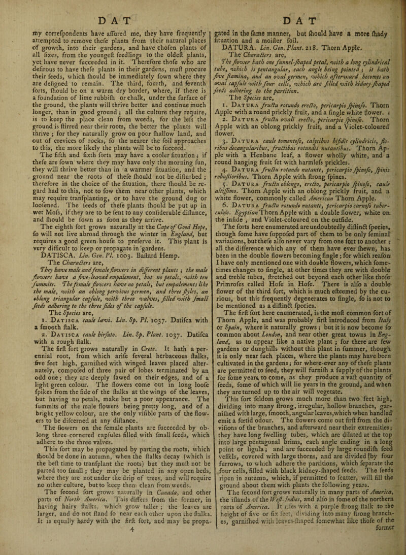 DAT DAT my correfpondents have affured me, they have frequently attempted to remove thefe plants from their natural places of growth, into their gardens, and have chofen plants of all iizes, from the youngeft feedlings to the oldeft plants, yet have never fucceeded in it. Therefore thofe who are defirous to have thefe plants in their gardens, mud procure their feeds, which ihould be immediately fown where they are defigned to remain. The third, fourth, and feventh forts, Ihould be on a warm dry border, where, if there is a foundation of lime rubbifh or chalk, under the furface of the ground, the plants will thrive better and continue much longer, than in good ground ; all the culture they require, is to keep the place clean from weeds, for the lefs the ground is ilirred near their roots, the better the plants will thrive ; for they naturally grow on poor fhallow land, and out of crevices of rocks, fo the nearer the foil approaches to this, the more likely the plants will be to fucceed. The fifth and fixth forts may have a cooler fituation; if thefe are fown where they may have only the morning fun, they will thrive better than in a warmer fituation, and the ground near the roots of thefe Ihould not be difturbed ; therefore in the choice of the fituation, there Ihould be re¬ gard had to this, not to fow them near other plants, which may require tranfplanting, or to have the ground dug or loofened. The feeds of thefe plants Ihould be put up in wet Mofs, if they are to be fent to any confiderable diftance, and fhould be fown as foon as they arrive. The eighth fort grows naturally at tht Cape of Good Hope, fo will not live abroad through the winter in England, but requires a good green-houfe to preferve it. This plant is very difficult to keep or propagate in'gardens. DATISCA. Lin. Gen. PI. 1003. Baftard Hemp. The Characters are, They have male andfemale flowers in different plants ; the male flowers have a five-leaved empalement, hut no petals, with ten fummits. The fetnale flowers have no petals, but empalements like the male, with an oblong pervious germen, and three flyles, an oblong triangular capfule, with three valves, filled with fmall feeds adhering to the three fides of the capfule. The Species are, 1. Datisca caule leevi. Lin. Sp. PI. 1037. Datifca with a fmooth fialk. 2. Datisca caule hirfuto. Lin. Sp. Plant. 1037, Datifca with a rough ftalk. The firft fort grows naturally in Crete. It hath a per¬ ennial root, from which arife feveral herbaceous llalks, five feet high, garnifhed with winged leaves placed alter¬ nately, compofed of three pair of lobes terminated by an odd one; they are deeply fawed on their edges, and of a light green colour. The flowers come out in long loofe fpikes from the fide of the fialks at the wings of the leaves, but having no petals, make but a poor appearance. The fummits of the male flowers being pretty long, and of a bright yellow colour, are the only vifible parts of the flow¬ ers to be difeerned at any diftance. The flowers on the female plants are fucceeded by ob¬ long three-cornered capfules filled with fmall feeds, which adhere to the three valves. This fort may be propagated by parting the roots, which fhould be done in autumn, when the ftalks decay (which is the beft time to tranfplant the roots) but they mull not be parted too fmall; they may be planted in any open beds, where they are not under the drip of trees, and will require no other culture, but to keep them clean from weeds. The fecond fort grows naturally in Canada, and other parts of North America. This differs from the former, in having hairy ftalks, which grow taller ; the leaves are larger, and do not ftand fo near each other upon the ftalks. It is equally hardy with the firft fort, and may be propa- 4 gated in the fame manner, but fhould have a more fhady fituation and a moifter foil. DATURA. Lin. Gen. Plant. 218. Thorn Apple. The Characters are, The flower hath one flunnel-fhaped petal, with a long cylindrical tube, which is pentangular, each angle being pointed ; it hath five flamina, and an oval germen, which afterward becomes an oval capfule with four cells, which are filed with kidneyJhaped feeds adhering to the partition. The Species are, 1. Datura fruClu rotundo ereCIo, pericarpio fpinofo. Thorn Apple with a round prickly fruit, and a fingle white flower. < 2. Da tura fruCiu ovali ereCio, pericarpio fpinofo. Thom Apple with an oblong prickly fruit, and a Violet-coloured flower. 3. Datura caule tomentofo, calycibus bifidis cylindricis, flo- ribus decangularibus, fruCiibus rotundis nutantibus. Thorn Ap¬ ple with a Henbane leaf, a flower wholly white, and a round hanging fruit fet with harmlefs prickles. 4. Datura fruClu rotundo nut ante, pericarpio fpinofo, fpinis robuflioribus. Thorn Apple with ftrong fpines. 5. Datura fruClu oblongo, ereCio, pericarpio fpinofo, caule altiffimo. Thorn Apple with an oblong prickly fruit, and a white flower, commonly called American Thorn Apple. 6. Datura fruClu rotunds nutante, pericarpio carnofo tuber- culofo. Egyptian Thorn Apple with a double flower, white on. the infide , and Violet-coloured on the outfide. The forts here enumerated are undoubtedly diftinft fpeeies, though fome have fuppofed part of them to be only feminal variations, but thefe alfo never vary from one fort to another ; all the difference which any of them have ever Ihewn, has been in the double flowers becoming fingle ; for which reafon I have only mentioned one with double flowers, which fome- times changes to fingle, at other times they are with double and treble tubes, ftretched out beyond each other like thofe Primrofes called Hofe in Hofe. There is alfo a double flower of the third fort, which is much efteemed by the cu¬ rious, but this frequently degenerates to fingle, fo is not to be mentioned as adiftinft fpecies. The firft fort here enumerated, is the moil common fort of Thom Apple, and was probably firft introduced from Italy or Spain, where it naturally grows ; but it is now become fo common about London, and near other great towns in Eng¬ land, as to appear like a native plant ; for there are few gardens or dunghills without this plant in fummer, though it is only near fuch places, where the plants may have been cultivated in the gardens; for where-ever any of thefe plants are permitted to feed, they will furnifh a fupply of the plants for fome year* to come, as they produce a vaft quantity of feeds, fome of which will lie years in the ground, and when they are turned up to the air will vegetate. This fort feldom grows much more than two feet high, dividing into many ltrong, irregular, hollow branches, gar- niihed with large, fmooth, angular leaves,which when handled emit a foetid odour. The flowers come out firft from the di- vifions of the branches, and afterward near their extremities; they have long fwelling tubes, which are dilated at the top into large pentagonal brims, each angle ending in a long point or ligula ; and are fucceeded by large roundilh feed veflels, covered with large thorns, and are divided fby four furrows, to which adhere the partitions, which feparate the four cells, filled with black kidney-lhaped feeds. The feeds ripen in autumn, which, if permitted to fcatter, will fill the ground about them with plants the following years. The fecond fort grows naturally in many parts of America, the iflands of the Wefi-Indies, and alfo in fome of the northern parts of America. It nfes with a purple ftrong ftalk to the height of five or fix feet, dividing into many ftrong branch¬ es, garniftied with leaves-lhaped fomewhat like thofe of the former