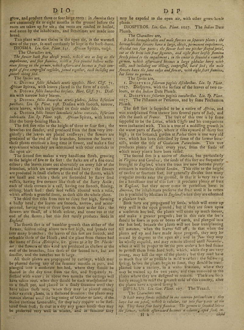 gfow, and produce three or four large roots: in America they are commonly fix or eight months in the ground before the roots are taken up for ufe ; the roots are roalled or boiled, and eaten by the inhabitants, and fometimes are made into bread. This plant will not thrive in the open air, in the warmed time of the year, fo mud condantly be kept in the bark-ftove. DIOSMA. Lin. Gen. riant. 241. African Spiraea, vulgo. The CharaCiers are, The flower hath Jive ohtufe petals, which are as long as the empalement, and Jve famine, with a five-pointed hollow neCla- rium fitting on the germen, which afterward becomes a fruit com- pofed of five ccmprefed capfules, joined together, each ir.clofing one fmooth oblongfed. The Species are, 1. Diosma foliis fubulatis acutis oppofitis. Hort. Cliff. 71. African Spiraea, with leaves placed in the form of a crofs. 2. Diosma foliis linearibus hirfutis. Hort. Clif. 71. Diof- ma with narrow hairy leaves. 3/ Dio sma foliis linearibus acutis glabris, fultus bifariujn punClatis. Lin. Sp. Plant. 198. Diofnia with fmooth, narrow, acute leaves, which are fpotted on their under fide. 4. Dio sma foliis linearilanceolatis Jubtus convexis, bifariam hnbricatis. Lin. Sp. Plant. 198. African Spiraea, with leaves like the berry-bearing Heath. The firft fort rifes to the height of three or four feet; the branches are dender, and produced from the dem very irre¬ gularly ; the leaves are placed croffways; the flowers are produced at the end of the branches, between the leaves : thefe plants continue a long time in flower, and make a fine appearance when they are intermixed with other exoticks in the open air. The dcond fort makes a very handfeme fhrub, growing to tlie height of five or fix feet: the flalks are of a fine coral colour; the leaves come out alternately on every fide of the branches, which are narrow-pointed and hairy : the flowers are produced in fmall cluflers at the end of the fhoots, which are fmall and white ; thefe are fucceeded by fiarry feed vefleis, having five corners like thofe of the flarry Anile ; each of thefe corners is a cell, having one fmooth, fhining, oblong, black feed: thefe feed vefleis abound with a refin, which affords a grateful feent, as doth alfo the whole plant. The third fort rifes from two to -three feet high, forming a bulhy head ; the leaves are fmooth, narrow, and acute- pointed, having two or three fpots on their ur.der fide; the flowers are fmall, of a blulh colour, and come out at the end of the fhoots ; but this fort rarely produces feeds in England. The fourth fort is of humbler growth than either of the former, feldom rifing above two feet high, and fpreads out into many branches ; the leaves of this fort are fmooth, and refemble thofe of the Heath ; and the plant from thence had the name of Erica JEthiopica, (Sec. given to it by Dr. Plur.be- net : the floweis of this «.ind are produced in cluders at the end of the branches, like thofe of the fecond fort, but are fmaller, and the bunches not fo large. All thefe plants are propagated by cuttings, which may be planted during any of the fummer months in pots, arid plunged into a moderate hot-bed, where they lhouia be ihaded in the day time from the fun, and frequently re- frelhed with water; in about two months the cuttings will have taken root, when they fhould be each tranfplanted in¬ to a fmall pot, and placed in a Ihady fituation until they have taken frefh root, when they may be placed among other exotick plants, in a flickered fituation : the plants may remain abroad uuul the beg nning of Oftober or later, if the feafon continue favourable, for they only require to be fhel- tered from froft ; fo that in a dry airy green-houfe they may be preferred very well in winter, and in fummer they may be expofed to the open air, with other green-honfe plants. DIOSPYROS. Lin. Gen. Plant. 1027. The Indian Date Plumb. The Characters are, It hath hermaphrodite and male flowers on feparate plants ; the hermaphrodite flowers have a large, obtufe, permanent empalement, divided into four parts ; the flower hath one pitcher-Jhaped petal, cut at the brim into four figments, and eight Jhort brifily Jlamina firmly joined to the empalement; in the center is fituated a roundijh germen, which afterward becomes a large globular berry with cells, each including one oblong, compreffed, hard feed; the male flowers have the fame calyx andflower, with eight Jhort Jlamina, but have no germen. The Species are, 1. Diospyros foliorum paginis dijcoloribus. Lin. Sp. Plant. 10^7. Diofpyros, with the forface of the leaves of two co¬ lours, or the Indian Date Plumb. 2. Diospyros foliorum paginis concoloribus. Lin. Sp. Plant. 1057. The Pilhamin or Perfimon, and by fome Pitchumoa Plumb. The firft fort is fuppofed to be a native of Africa, and was tranfplanted from thence into feveral parts of Italy, and alfo the l'outh of France. The fruit of this tree is by fome fuppofed to be the Lotus, which Vlyffcs and his companions were inchanted with. This is a tree of a middling growth ia the warm parts of Europe, where it rifes upward of thirty feet high ; in the botanick garden at Padua there is one very old tree, which has been deferibed by fome of the former bota- nifis, under the title of Guaiacum Patavinum. This tree produces plenty of fruit every year, from the feeds of which many plants have been railed. The fecond fort is a native of America, but particularly in Virginia and Carolina ; the feeds of this fort are frequently brought to England, where the trees are now become pretty common in nurferies about London. This rifes to the height of twelve or fourteen feet, but generally divides into many irregular trunks near the ground, fo that it is very rare to fee a handfome tree of this fort: it produces plenty of fiuic in England, but they never come to perfection here: in America, the inhabitants preferve the fruit until it be rotten (as is practifed by Mediars in England) when they are efleemed a pleafant fruit. Both forts are propagated by feeds, which will come up very well in the open ground ; but if they are fown upon a moderate hot-bed, the plants will come up much fooner, and make a greater progrefs ; but in this cafe the fee ’s fliould be fown in pots or boxes of earth, and plunged into the hot bed, becaufe the plants will not bear tranfplanting ti l autumn, when the leaves fall off; fo that when the plants are' up and have made forne progrefs, they may be inured by degrees to the open air ; and in June they may be wholly expo fed, and may remain abroad until November, when it will be proper to fet the pots under a hot-bed frame to preteft them from hard frofl; which, while they are very young, may kill the tops of the plants; but they mull have as much free air as poifible in mild weather: the following fpring, before the plants begin to fhoot, they fhould be trani- planted into a nurfery, in a warm fituation, where they may be trained up for two years, and then removed to the places where they are defigned to remain. Thefe are both hardy enough to refill the greateft cold of this country, after the plants have arquired ftreng h. DIfSACUS. Lin. Gen. Plant. 107. The Teazel. The Characters are, It hath many florets colleCled in one common perianthium ; they have but one petal, which is tubular, cut into four parts at the top. They have four hairy flamin a. The germen is fituated below the flower, which afterward becomes a column fi. aped feed, lu¬ ll h Aojed