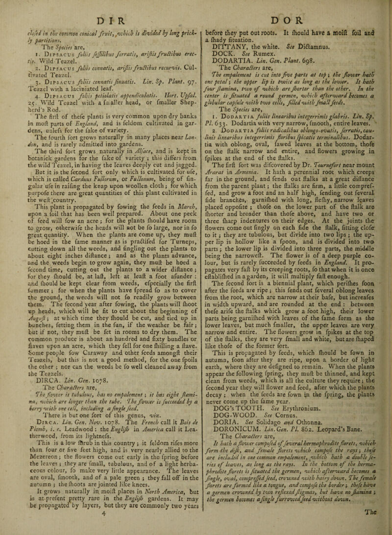 clofed in the common conical fruit, rwhhh is divided by long prick¬ ly partitions. The Species are, 1. Dips a cus folds fefjilibus /erratic, arifiis fruCtibus erec- th. Wild Teazel. 2. Dipsacus foliis connatis, arif.isfruCtibus recurvis. Cul¬ tivated Teazel. 3. Dipsacus folds connatisfinuafts. Lin. Sp. Plant. 97. Teazel with a laciniated leaf. 4. Dipsacus folds petiolatis appendiculatis. Hort. Upfal. 25. Wild Teazel with a fmaller head, or fmaller Shep¬ herd’s Rod. The firft of thefe plants is very common upon dry banks in moil: parts of England, and is feldom cultivated in gar¬ dens, unlefs for the fake of variety. The fourth fort grows naturally in many places near Lon¬ don, and is rarely admitted into gardens. The third fort grows naturally in Alface, and is kept in botanick gardens for the fake of variety ; this differs from the wild Teazel, in having the leaves deeply cut and jagged. But it is the fecond fort only which is cultivated for ufe, which is called Carduus Fullorum, or Fullonum, being of lin¬ gular ufe in raifing the knap upon woollen cloth; for which purpofe there are great quantities of this plant cultivated in the weft’country. This plant is propagated by fowing the feeds in March, upon a foil that has been well prepared. About one peck of feed will fow an acre ; for the plants fhould have room to grow, otherwife the heads will not be fo large, nor in fo great quantity. When the plants are come up, they muff be hoed in the fame manner 4s is pra£tifed for Turneps, cutting down all the weeds, arid fingling out the plants to about eight inches diftance ; and as the plants advance, and the weeds begin to grow again, they muft be hoed a fecond time, cutting out the plants to a wider diftance ; for they fhould be, at laft, left at leaft a foot afunder : and fhould be kept clear from weeds, efpecially the firft. iummer ; for when the plants have fpread fo as to cover the ground, the weeds will not fo readily grow between them. Th'e fecond year after fowing, the plants will lhoot up heads, which will be fit to cut about the beginning of Augufi; at which time they fhould be cut, and tied up in bunches, fetting them in the fun, if the weather be fair; but if not, they muft be fet in rooms to dry them. The common produce is about an hundred and fixty bundles or iiaves upon an acre, which they fell for one fhilling a ftave. Some people fow Caraway and other feeds amongft their Teazels, but this is not a good method, for the one fpoils the other ; nor can the weeds be fo well cleaned away from the Teazels. DIRCA. Lin. Gen. 1078. The Characters are, The flower is fabulous, has no empalement ; it 1ms eight fiami- r.a, which are longer than the tube. The flower is fucceeded by a berry with one cell, including a fingle feed. There is but one fort of this genus, viz. Dirca. Lin. Gen. Nov. 1078. The French call it Bois de Plomb, i. e. Leadwood : the Englijh in America call it Lea- therwood, from its lightnefs. This is a low fftrub in this country ; it feldom rifes more than four or five feet high, and is very nearly allied to the Mezereon; the flowers come out early in the fpring before the leaves ; they are fmall, tubuleus, and of a light herba¬ ceous colour, fo make very little appearance. The leaves are oval, fmcoth, and of a pale green ; they fall off in the autumn; thefhoots are jointed like knees. It grows naturally in, moift places in North America, but is at-prefent pretty rare in the Englijh gardens. It may be propagated by layers, but they are commonly two years 4 before they put out roots. It fhould have a moift foil and a fhady fituation. DITTANY, the white. See Dittamnus. DOCK. See Rumex. DODARTIA. Lin. Gen. Plant. 698. The Characters are, The empalement is cut into five parts at top ; the fiower hath one petal; the upper lip is twice as long as the lower. It hath four fiamina, two of which are Jhorter than the other. In the center is ftuated a round germen, which afterward becomes a globular capfide with two cells, filled with fmall feeds. The Species are, 1. Dodartia folds linearibus integerrimis glabris. Lin. Sp. PL 633. Dodartia with very narrow, fmooth, entire leaves. 2. Dodartia foliis radicalibus oblongo-ovatis, /erratic, cau- Unis linearibus integerrimis foribus fpicatis terminalibus. Dodar¬ tia with oblong, oval, fawed leaves at the bottom, thofe on the ftalk narrow and entire, and flowers growing in fpikes at the end of the ftalks. The firft fort was difcovered by Dr. Tournefort near mount Ararat in Armenia. It hath a perennial root which creeps far in the ground, and fends out ftalks at a great diftance from the parent plant; the ftalks are firm, a little compref- fed, and grow afoot and an half high, fending out feveral fide branches, garnilhed with long, flefhy, narrow leaves placed oppofite ; thofe on the lower part of the ftalk are lhorter and broader than thofe above, and have two or three (harp indentures on their edges. At the joints the flowers come out fingly on each fide the ftalk, fitting clofe to it ; they are tubulous, but divide into two lips ; the up¬ per lip is hollow like a fpoon, and is divided into two- parts ; the lower lip is divided into three parts, the middle being the narroweft. The fiower is of a deep purple co¬ lour, but is rarely fucceeded by feeds in England. It pro¬ pagates very faft by its creeping roots, fo that when it is once eftablifhed in a garden, it will multiply faft enough. The fecond fort is a biennial plant, which perifhes foorx after the feeds are ripe ; this fends out feveral oblong leaves from the root, which are narrow at their bafe, but increafes in width upward, and are rounded at the end : between thefe arife the ftalks which grow a foot high, their lower parts being garnilhed with leaves of the fame form as the lower leaves, but much fmaller, the upper leaves are very narrow and entire. The flowers grow in fpikes at the top of the ftalks, they are very fmall and white, but are fhaped like thofe of the former fort. This is propagated by feeds, which fhould be fown in autumn, foon after they are ripe, upon a border of light earth, where they are defigned to remain. When the plants appear the following fpring, they muft be thinned, and kept clean from weeds, which is all the culture they require; the fecond year they will fiower and feed, after which the plants decay ; when the feeds are fown in the fpring, the plants never come up the fame year. DOG’s TOOTH. See Erythronium. DOG-WOOD. See Cornus. DORIA. See Solidago and Othonna. DORONICUM. Lin. Gen. PL 862. Leopard’s Bane. The Characters are, It hath a fiower campofed offeveral hermaphrodite florets, which form the difk, and female florets which compofe the rays; thefe are included in one common empalement, which hath a double Je- ries of leaves, as long as the rays. In the bottom of the herma¬ phrodite florets is ftuated the germen, which afterward becomes a fingle, oval, compreffed feed, crovoned with hairy do'ivn. The female florets are formed like a tongue, and compofe the border ; thefe have a germen crowned by two reflexed fiigmas, but have no fiamina ; the germen becomes a fingle furrowed feed without down. The