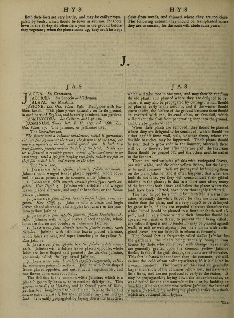 Both thefe forts are very hardy, and may be eafily propa¬ gated by feeds, which (hould be fown in autumn, for thofe (own in the fpring do often lie a year in the ground before they vegetate; when the plants come up, they rauft be kept clean from weeds, and thinned where they are too clofe- The following autumn they (hould be tranfplanted where they are to remain, for the roots will abide fome years. J. J A S JACEA. See Centaurea. JACOB./EA. See Senecio andQthonna. JALAPA. See Mirabilis. JASIONE. Lin. Gen. Plant. 896. Rampions with fca*- bious heads. This plant grows naturally on fterile ground, in moll parts of England, and.is rarely admitted into gardens. JASMINOLDES.. See Ceftrum and Lycium. JASMINUM. Tourn. Infl. R. H. 597. tab. 368. Lin. Gen. Plant. 17. The Jafmine, or Jeffamine tree. The Char alters are, The flower hath a tubulous empalement, which is permanent, cut into five fegjnents at the brim ; the flower is of one petal, cut into five fegments at the top, which fpread open. It hath two floort flamina, fetuated within the tube of the petal. In the. cen¬ ter is fltuated a roundijh germen, which afterward turns to an oval berry, with a foft fkin inclofing two feeds, which are flat on thofe fldes which join, and convex on the other . The Species are, 1. Jasminum foil is oppofltis pinnatis, foliolis acuminatis. Jafmine with winged leaves placed oppofite, vvhofe lobes end in acute, pointsor the common white Jafmine. 2. Jasminum foliis alternis ternatis pinnatifque, ramis an- gulatis. Hort. Upfal. 5. Jafmine with trifoliate and winged leaves placed alternate, and angular branches; or the Italian yellow Jafmine.- 3. Jasminum foliis alternis ternatis fimpUcibufque, ramis an- gulatis. Hort. Cliff'. 5. Jafmine with trifoliate and fingle leaves placed alternate, and angular branches ; or the com¬ mon yellow Jafmine. 4. Jasminum foliis oppofltis pinnatis, foliolis brevioribus ob- tufis. Jafmine with winged leaves placed oppofite, whofe lobes are fhorter and obtufe ; or Catalonian Jafmine. 5. Jasminum foliis alternis ternatis, foliolis ovatis, ramis teretibus. Jafmine with trifoliate leaves placed alternate, whofe lobes are oval, ar.d taper branches; or the yellow In¬ dian Jafmine. 6. Jasminum foliis oppofltis ternatis, foliolis cor data acumi- vaiis. Jafmine with trifoliate leaves placed oppofite, whofe lobes are heart-(haped and pointed ; the Azorian Jafmine, commonly called, the Ivy-leaved Jafmine. 7. Jasminum foliis lanceolatis oppofltis inlegerrimis, calyci- lus acuuorilus pcdunculis unifloris. Jafmine with fpear-fhaped leaves placed oppofite* and entire acute empalements, and. one flower upon each foot-flalk. The firft fort is the common white Jafmine, which is a plant.fo generally known, as to need no defcription. This grows- naturally at Malabar, and in flsveral parts of India, yet ha6 been long.inured to our climate, fo as to thrive and flower extremely well,, but never produces, any fruit in Eng¬ land. It is eafily propagated by laying dovvn the branches, , J a s which will take root in one year, and may then-be cut from the old plant, and planted where they are deligned to re¬ main : it may alfo be propagated by cuttings, which (hould- be planted early in the autumn, and if the winter (hould prove fevere, the furface of the ground between them (hould be covered with tan, fea-coal alhes, or faw-duft, which will prevent the froft from penetrating deep into the ground, and thereby preferve them. When thefe plants are removed, they (hould be planted where they are defigned to be continued, which (hould be either againft fome wall, pale, or other fence, where the flexible branches may be fupported. Thefe plants (hould be permitted to grow rude in the fummer, otherwife there will be no flowers, but after they are paft, the luxuriant (hoots (hould be pruned off, and the others muft-be nailed to the fupport. There are two varieties of this with variegated leaves, one with white, and the other yellow (tripes, but the latter is the mod common : thefe are propagated by budding them on the plain Jafmine, and it often happens, that when the buds do not take, yet they will communicate their gilded miafma to the plants; fo that in a (hort time after, many of the branches both above and below the places where the buds have been inferted, have been thoroughly tinctured. The two ftriped forts (hould be planted in a warm fitu— ation, efpecially the white ftriped, for they are much more tender than the plain, and are very fubjett to be deftroyed ' by great frofts, if they are expofed thereto; therefore the., white ftriped (hould be planted to a foutff or fouth-weft af- . pe£t, and in very fevere winters- their branches (hould be- covered with mats or draw, to prevent their being killed :~ the yellow ftriped is not fo tender,fo may be planted againft walls to eaft or weft afpefts; but thefe plants with varies gated leaves, are not fo much in efteem as formerly. The fecond fort is frequently called Italian Jafmine byj. the gardeners, the plants being annually brought from thence by thofe who come over with Orange trees ; thefe . are generally grafted upon the common yellow Jafmine (locks, fo that if the graft decays, the plants are of no value. This fort is fomewhat tenderer than the common-, yet will endure the cold of our ordinary winters*, if it is planted in. a warm fituationw The flowers of this kind are generally- larger than thofe of the common yellow fort, but have very . little fcent, and are not produced fo early in the feafon.. It may be- propagateubby laying down the tender branches, as- was directed for the common-white fort; or by budding or inarching it upon the common yellow Jafmine, the latter of which is preferable, by making the plants hardier than thole which are obtained from lavas.- ’Vi - V. - V ' • ■ - ' ; < . . t • -.1