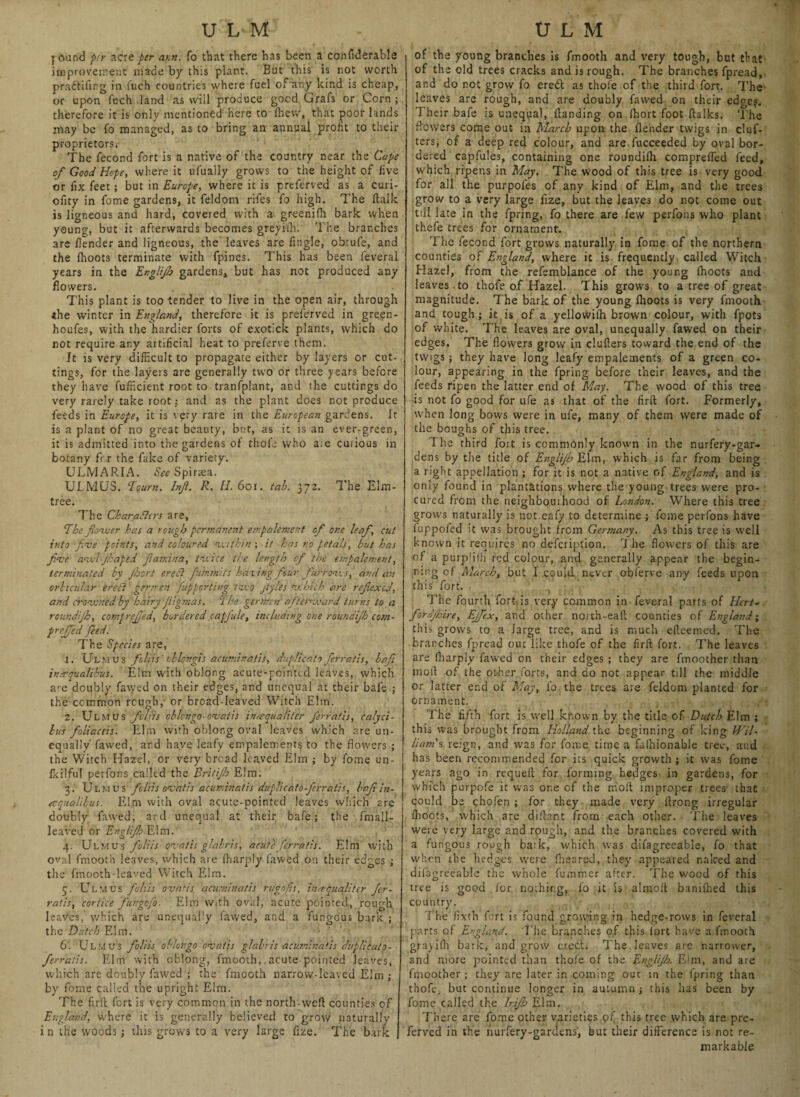 found per acre per am. fo that there has been a confiderable improvement made by this plant. But this is not worth praftifing in fuch countries where fuel of any kind is cheap, or upon fuch .land as will produce good Grafs or Corn ; therefore it is only mentioned here to lhew, that poor lands may be fo managed, as to bring an annual profit to their proprietors. The fecond fort is a native of the country near the Cape of Good Hope, where it ufually grows to the height of five or fix feet; but in Europe, where it is preferved as a curi- ofity in fome gardens, it feldom rifes fo high. The ftalk is ligneous and hard, covered with a greenifh bark when young, but it afterwards becomes greyiih. The branches 3re /lender and ligneous, the leaves are Angle, obtufe, and the fhoots terminate with fpines. This has been feveral years in the Englijb gardens, but has not produced any flowers. This plant is too tender to live in the open air, through the winter in England, therefore it is preferved in green - houfes, with the hardier forts of exotick plants, which do rot require any artificial heat to preferve them. It is very difficult to propagate either by layers or cut¬ tings, for the layers are generally two or three years before they have fufiicient root to tranfplant, and the cuttings do very rarely take root: and as the plant does not produce feeds in Europe, it is very rare in the European gardens, it is a plant of no great beauty, but, as it is an ever-green, it is admitted into the gardens of thofe who aie curious in botany frr the fake of variety. ULMARIA. See Spiraea. ULMUS. Toum. Inf. R. U. 6or. tab. 372. The Elm- tree. The Char alters are, The flower has a rough permanent empalement of one leaf, cut into five points, and coloured within ; it has no petals, but has five awl-Jhafed fiamina, twice the length of the empalement, terminated by Jhort erect fummits having four furrows, and an orbicular erect germen Jupporting two jtyles which are reflexcd, and crowned by hairy Jiigmas. The germen afterward turns to a roundijh, comirejjed, bordered capfule, including one roundijh com- prejfed feed. The Species are, 1. Ulhus foliis' oblongis acuminatis, duplicato ferratis, baf inmqualibus. Elm W'ith oblong acute-pointed leaves, which are doubly fawed on their edges, and unequal at their bafe ; the common rough, or broad-leaved Witch Elm. 2. Ulmus foliis cblcngo-ovatis inmqualiter ferratis, calyci- lus foliaceis. Elm with oblong oval leaves which are un¬ equally fawed, and have leafy empalements to the flowers ; the Witch Hazel, or very bread leaved Ehn ; by fome un- fkilful perfons called the Britijh Elm. 3. Ulmus foliis ovatis acuminatis duplicato-ferratis, baf in- rrquahbus. Elm with oval acute-pointed leaves which are doubly fawed, ard unequal at their bafe; the fmall- leavcd or Engliflo Elm. 4. Ulmus foliis qvatis glabris, acute ferratis. Elm with oval fmooth leaves, which are Aiarpty fawed on their edges ; the fmooth-leaved Witch Elm. 5. Ulmus foliis ovatis acuminatis rugofis, inmqualitcr fer¬ ratis, cortice fungefo. Elm with oval, acute pointed, rough leaves, which are unequally fawed, and a fungous bark ; the Dutch Elm. 6. Ulmus foliis oblongo-ovatis glabris acuminatis diiplicato- ferr a! is. Elm with oblong, fmooth, acute pointed leaves, which are doubly fawed ; the fmooth narrow-leaved Elm ; by fome called the upright Elm. The firft fort is very common in the north-well counties of England, where it is generally believed to grow naturallv in the woods ; this grows to a very large flze. The bark of the young branches is fmooth and very tough, but that of the old trees cracks and is rough. The branches fpread, and do not grow fo erebt as thole of the third fort. The leaves are rough, and are doubly fawed on their edge?. Their bafe is unequal, flandir.g on fhort foot ftalks. The flowers come out in March upon the {lender twigs in cluf- ters, of a deep red colour, and are fucceeded by oval bor¬ dered capfules, containing one roundifh. compreffed feed, which ripens in May. The wood of this tree is very good for all the purpofes of any kind of Elm, and the trees grow to a very large iize, but the leaves do not come out till late in the fpring, fo there are few perfons who plant thefe trees for ornament. The fecond fort grows naturally in fome of the northern counties of England, where it is frequently called Witch Hazel, from the refemblance of the young fhoots and leaves to thofe of Hazel. This grows to a tree of great magnitude. The bark of the young fhoots is very fmooth and tough; it is of a yellowilh brown colour, with fpots of white. The leaves are oval, unequally fawed on their edges. The flowers grow in clufters toward the end of the twigs; they have long leafy empalements of a green co¬ lour, appearing in the fpring before their leaves, and the feeds ripen the latter end of Map. The wood of this tree is not fo good for ufe as that of the firft fort. Formerly, when long bows were in ufe, many of them were made of the boughs of this tree. The third fort is commonly known in the nurfery-gar- dens by the title of Englijb Elm, which is far from being a right appellation ; for it is not a native of England, and is only found in plantations where the young trees were pro¬ cured from the neighboui hood of London. Where this tree grows naturally is not cafy to determine ; feme perfons have fuppoled it was brought from Germany. As this tree is well known it requires no delcription. rl he flowers of this are of a purp'ilh red colour, and generally appear the begin¬ ning of March, but I could never obferve any feeds upon this fort. The fourth fort.is very common in feveral parts of Hert- fordjbire, Ejfex, and other north-eaft counties of England; this grows to a large tree, and is much efteemed. The branches fpread out like thofe of the firft fort. The leaves are (harply fawed on their edges ; they are fmoother than moil of the other forts, and do not appear till the middle or latter end of May, lb the trees are feldom planted for ornament. , j » <; / The fifth fort is well known by the title of Dutch Elm ; this was brought from Holland the beginning of king Wil¬ liam's reign, and was for fome time a falhionable tree, and has been recommended for its quick growth ; it was fome years ago in requeft for forming hedges in gardens, for which purpofe it was one of the mold improper trees that could be chofen ; for they made very llrong irregular Ihoots, which are diftnnt from each other. The leaves were very large and rough, and the branches covered with a fungous rough ba;k, which was difagreeable, fo that when the hedges were fheared, they appeared naked and difagreeable the whole fummer after. The wood of this tree is good for nothing, fo it is almoft banifhed this country. The fixth fort is found growing in hedge-rows in feveral parts of England. The branches of this lort have a fmooth grayilh bark, and grow erect. The leaves arc narrower, and more pointed than thofe of the Englijb. Elm, and are fmoother; they are later in coming out in the fpring than thofe, but continue longer in autumn; this has been by fome called the Irijb Elm. There are fome other varieties pf this tree which are pre¬ ferved in the nurfery-gardens, but their difference is not re¬ markable