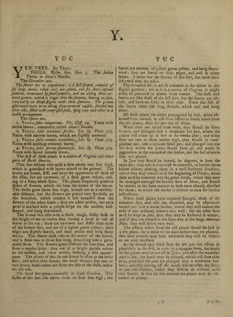 t Y Y U C EW-TREE. See Taxus. YUCCA. Dillen. Gen. Nov. 5. The Indian Yucca, or Adams Needle. The Characters are, The fiower has no empalement; it is lell-Jhaped, compofed of fix large petals, whofe tails are joined, and fix Jkort refiexed Jtamina, terminated by fimallJummits, and an oblong three-cor¬ nered germen, which is longer than the Jlamina, having no Jiyle, crowned by an obtufe fiigma with three furrows. The germen afterward turns to an oblong three-cornered capfule, divided into three cells, filled with comprefi'ed feeds, lying over each ether in a double arrangement. The Species are, 1. Yucca foliis integerrimis. Vir. Cliff. 29. Yucca with entire leaves; commonly called Adams Needle. 2. Yucca foliis crenulatis Jlriflis. Lin. Sp. Plant. 319. Yucca with narrow leaves, which are flightly crenated. 3. Yucca foliis cretiatis nutantibus. Lin. Sp. Plant. 319. Yucca with nodding crenated leaves. 4. Yucca foliis ferrato-filamentofis. Lin. Sp. Plant. 319. Yucca with fawed thready leaves. The full of thefe plants is a native of Virginia and other parts of North America. This fort feldom rifes with a Hem above two feet high, which is gamilhed with leaves almoft to the ground. The leaves are broad, ftiff, and have the appearance of thofe of the Aloe, but are narrower, of a dark green colour, end¬ ing in a (harp black fpine. The plants frequently produce fpikes of flowers, which rife from the center of the leaves. The ftalks grow three feet high, branch out to a conlider- able diftance, but the flowers are placed very fparfedly on the branches, which renders it lefs beautiful than the flowers of the other kinds; they are white within, but each petal is marked with a purple flripe on the outfide, bell* fhaped, and hang downward. The fecond fort rifes with a thick, tough, flefhy ftalk to the height of ten or twelve feet, having a head or tuft of leaves at the top ; thefe are narrower and fliffer than thofe of the former fort, and are of a lighter green colour ; their edges are flightly fawed, and their points end vvi h (harp thorns. The flower-ftalk rife3 in the center of the leaves, and is from two to three feet long, branching into a pyra¬ midal form. The flowers grow clofe on the branches, and form a regular fpike ; they are of a bright purple colour en the outfide, and white within, making a fine appear¬ ance. The plants of this do not flower fo often as the other fort ; and when they flower, the head decays, but one or two young heads come out from the fide of the ftalk, below the old one. The third fort grows naturally in South Carolina. The ftalks of this fort rife about three or- four feet high ; the Y U C leaves are narrow, ofadark green colour, and hang down¬ ward j they are fawed on their edges, and end in acute fpines. I never faw the flowers of this fort, but have been informed they are white. The threaded fort is not fo common as the others in the Englijh gardens ; but as it is a native of Virginia, it might eafily be procured in plenty from thence. The ftalk and leaves are like thofe of the firft fort, but the leaves are ob¬ tufe, and have no fpine at their ends. From the fide of the leaves come out long threads, which curl and hang down. All thefe plants are either propagated by feed, when ob¬ tained from abroad, or eife from offsets or heads taken from the old plants, after the maoner of Aloes. When they are raifed from feeds, they fhould be fown in pots, and plunged, into a moderate hot-bed, where the plarts will come up in five or fix weeks after; and when they are two or three inches high, they fhould be tranf- planted eac.. into a fepaiate fmall pot, and plunged into the hot bed, where the plants fhould have air and water in proportion to the warmth of the ieafon, and the bed wherein they are placed. In June they fhould be inured, by degrees, to bear the open air; into which they mail be removed, to harden them* before win:er, placing them in a well-fheltered fituation, wheie they may remain until the beginning of October, when they mult be removed into the green houfe, where they may be arranged amongft the hardier forts of Aloes, and fhould be treated in the fame manner as hath been already directed for them ; to which the reader is defired to turn for further inftrudtions. When thefe plants have acquired ftrength, thofe of the common fort, and alfo the threaded, may be afterwards turned out into a warm border, where they will endure the cold of our ordinary winters very well; but the other forts muft be kept in pots, that they may be fheltered in winter; and if they are treated in the fame way as the large American Aloe, they will thrive very well. The offsets taken from the old plants fhould be laid in a dry place, for a week or ten days before they are planted, that their wounds may heal, otherwife they will be fubjeift* to rot with moifture. As the fecond and third forts do not put out offsets fo plentifully as the firft, in order to propagate them, the heads of the plants may be cut off in June ; and after the wounded part is dry, the heads may be planted, which will foon take root, provided the pots are plunged into a moderate hot¬ bed ; and this cutting off the heads will occafion the ftems* to put out fuckers, which they feldom do without until they flower; fo that by this method the-plants may be ob¬ tained in plenty. 5 X‘- % A N*