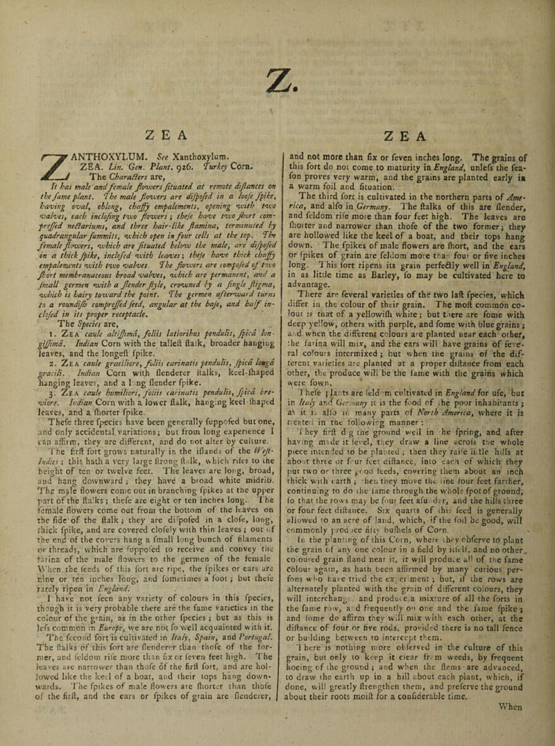z. ZEA ANTHOXYLUM. See Xanthoxylam. ZEA. Lin. Gen. Plant. 926. Turkey Corn. The Charafters are, It has male and female flowers fituated at remote dijlances on the fame plant. The male flowers are difpofed in a looje fpike, having oval, oblong, chaffy empalements, opening with two valves, each inclojing two flowers ; thefe have two Jhort com- preffed nedlariums, and three hair Tike flamina, terminated by quadrangular fummits, which open in four cells at the top. Tire female flowers, which are fituated below the male, are difpofed in a thick fpike, inclofed with leaves; theje have thick chaffy empalements with two valves The flowers are compofed of two Jhort membranaceous broad valves, which are permanent, and a fmall germen with a Jlender fiyle, crowned by a Jingle fligma, which is hairy toward the point. The germen afterward turns to a roundijh compreffedfeed, angular at the baje, and half in¬ clofed in its proper receptacle. The Species are, T. Z E a caule altijjimd, foliis latioribus pendulis, fpica Ion giffima. Indian Corn with the talleft ftalk, broader hanging leaves, and the longeft fpike. 2. Zea caule graciliore, foliis carinatis pendulis, fpica longa gracili. Indian Corn with flenderer ltalks, keel-lhaped hanging leaves, and a 1 ng (lender fpike. 3. Zea caule humiliori, foliis carinatis pendulis, fpica bre- viore. Indian Corn with a lower ftalk, hanging keel-lhaped leaves, and a fhorter fpike. Thefe three fpecies have been generally fuppofed but one, and only accidental variations; but from long experience I can affirm, they are different, and do not alter by culture. The firft fort grows naturally in the iflands of the I'VeJt- Indies ; this hath a very large ltrong ftalk, which riles to the height of ten or twelve feet. The leaves are long, broad, and hang downward ; they have a broad white midrib. The male flowers come out in branching fpikes at tne upper part of the ltalks; thefe are eight or ten inches long. The female flowers come out from the bottom of the leaves on the fide of the ftalk ; they are dipoled in a clofe, long, thick fpike, and are covered clofely with thin leaves ; out of the end of the covers hang a fmall long bunch of filaments or threads, which are fuppofed to receive and convey the farina cf the male flowers to the germen of the female When the feeds of this fort are ripe, the fpikes or ears are nine or ten inches long, and fomeiimes a foot; but theie rarely ripen in England. 1 have not feen any variety of colours in this fpecies, though it is very probable there are the fame varieties in the colour of the grain, as in the other fpecies ; but as this is lefs common in Europe, we are not fo well acquainted with it. The fecorsd fort is cultivated in Italy, Spain, and Portugal. The fialks of this fort are flenderer than thole of the for¬ mer, and feldom rife more than fix or feven feet high. The leaves me narrower than thofe of the firft fort, and are hol¬ lowed like the keel of a boat, and their tops hang down¬ wards. The fpikes of male flowers are fhorter than thofe of the firft, and the ears or fpikes of grain are flenderer, ZEA and not more than fix or feven inches long. The grains of this fort do not come to maturity in England, unlefs the fea- fon proves very warm, and the grains are planted early ia a warm foil and fituation. The third fort is cultivated in the northern parts of Ame• rica, and alfo in Germany. The ftalks of this are flender, and feldom rife more than four feet high. The leaves are fhorter and narrower than thofe of the two former; they are hollowed like the keel of a boat, and their tops hang down. The fpikes of male flowers are (hort, and the ears or fpikes of grain are feldom more than four or five inches Jong. 7 his fort ripens its grain perfedlly well in England, in as little time as Barley, fo may be cultivated here to advantage. There are feveral varieties of the two laft fpecies, which differ in the colour of their grain. The rooft common co¬ lour is that of a yellowiih white; but there are fome with deep yellow, others with purple, and fome with blue grains; a d when the different colours are planted near each othef, the farina will mix, and the ears will have grains of feve¬ ral colours intermixed ; but when tne grains of the dif¬ ferent varieties are planted at a proper diftance from each other, the produce wili be the lame with the grains which were fown, Thefe plants are feldom cultivated in England for ufe, but in Italy and Germany it is the food of ihe poor inhabitants ; as it i.. alfo 11 many parts of North America, where it is treated in tne following manner: 7 hey firft d g tne ground well in he fjpring, and after hav;ng mrde it level, they draw a line acrois the whole piece intended to be planted ; then they raife ii.tie hills at aboot three or four feet diftance, into each of which they put two or three pood (teds, covering them about an inch rhick with earth ; 'her. tney move the line four feet farther, continuing to do the lame through the whole fpotof ground; fo that the rows may be four feet afu. der, and the hills three or four feet diftance. Six quarts of this feed is generally allowed 'o an acre of land, which, if the foil be good, will commonly prod ice nicy bufhels of Corn. In the planting of this Corn, where they obferve to plant the grain of any one colour in a field by itfelf, and no other, cooured grain fiand near it, it will produce all of the fame Colour again, as hath been affirmed by many curious per- fons who hate tried the experiment; but, if the rows are alternately planted with the grain of different colours, they will interchange and produce a mixture of all the forts in the fame row, a d frequently 00 one and the fame fpike ; and fome do affirm they will mix with each other, at the diftance of four or five rods, provided there is no tall fence or budding between to intercept them. 1 here is nothing more obferved in the culture of this grain, but only to keep it clear fr m weeds, by frequent hoeing of ihe ground ; and when the ftems are advanced, to draw the earth up in a hill about each plant, which, if done, will greatly ftrengthen them, and preferve the ground about their roots moift for a conflderable time. When