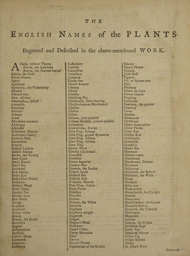 T H E • I , . J > . . . _ V ■ < * * \ English Names of the PLANT & , • / t m Engraved and Defcribed in the above-mentioned W O RK, ACacia, without Thorns Acacia, the American Acacia, the Narrow-leaved Acacia, the Falfe Adonis Flower Agave Agrimony Agrimony, the Waterherap Alkanet A!mond-tree Aloe, African Amaranthus, fpiked ' Amaryllis Anemony Ardlotis Arfmart Arum Afarabaca common Afparagus Afphodel Balfamine, Female Barbadoes Cherry Barberry Bulb Barrenwort Bafteria Baftard Lychnis Baflard Afarum Baulm, the Turkey Bean Caper Bear’s Breech Bear’s Ear Bindweed Bird Cherry Bird’s Eye Bird’s Foot Trefoil Birthwort Biihop’s Weed Bitter Vetch Bladder Pea Bladder Sena Blue Bottle Borage Boxthorn Boxthorn Briany white Broom Broom, the Green Browallia Buglofs Bulbocodium Burdock Calve’s Snout Cammock Campion Calkdony Callioberry Catchfly Caterpillar Celandine Centaury Chafte-tree Cheefe-Runnet Chelone Cherry Chefnut Chickling Pea Chickvveed, Berry-bearing Chryfanthemum Hardfeeded Climber Clethra Cnicus Colutea, joint-podded' Colutea Shrubby, jointed-podded Columbine Convolvulus, Scarlet Corn Flag, Strange Corn Flag, greater Byzantine c Corn Flag, African Corn Flag, African 1 Corn Flag Cotton Weed Cowflip Chickweed ■- Cranefbill Crowfoot Grown Imperial Cuckow-Pint - Cunonia, the Scarlet Cultard Apple Daffodil Sea Daffodil Lily D’Ayena, Smooth Date Plum, Indian Dead Nettle Dianthus Diervilla Diofma Dittany, the White Dodartia Dogfbane Dogfbane upright » Dogwood Dragon Dragon’s Head Dropwort Dwarf Ciftus Ebony Mountain Elder Emony Eternal Flower Eupatorium of the Greeks Felwort Fennel Flower Ferraria Jield Bafil Figwort Fir, or Spruce-tree Flax Fleabane Flower de Luce Flower Gentle Foxglove Fraxinella Fumitory, the podded Fumitory Furze Gentian Germander r Gilliflower Globe Amaranthus Globe Thifile Goats Rue Golden Rod Goldylocks Groundfel Gundelia Hare’s Ear * Hartwort Hatchet-vetch Hawkweed Hawkvveed, Greater Hawthorn Heliotrope Hellebore, the Baflard Hellebore, the White « Hemp Henbane ■ Holly-tree Honeyfuckle Iloneyfuckle, the Upright - Honedy Honey wort Horfe Chefnut, the Scarlet Hj 'acinth Eaftern Hyacinth, the Tuberofe Hydrangea Hypecoon Jafmine Jafmine, the Perfian > Jerufalem Sage Jerfey Tea Immortal Flower Indian Fig Indigo Baftard Indigo St. John’s Wort t - iron wood