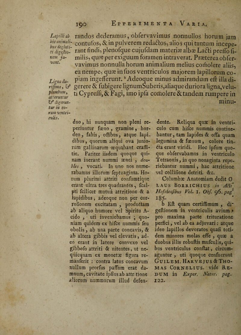 Lapilli ab his animali, busdegluti- ti digejlio- nem ju- asant. Linia du- rijjma, er plumbum, atteruntur & digerun¬ tur in eo¬ rum ventri- 190 randos dederamus, obfervavimus nonnullos horum jam contufos, & in pulverem reda&os, alios qui tantum incepe¬ rant findi, plenofque cujulclam materia alba La&i prelio fi- milis, qua per exiguum foramen intraverat. Praterea obler- vavimus nonnulla horum animalium melius comolere aliis, ea nempe, qua inluos ventriculos majorem lapillorum co¬ piam ingefTerunt.b Adeoque minus admirandum eft illa di¬ gerere & fubigerelignumSuberis,aliaqueduriora ligna,velu- ti Cy prelli, & Fagi, imo ipla comolere & tandem rumpere in minu- culis. duo, hi nunquam non pleni re- periuntur feno , gramine, hor¬ deo, fabis, offibus, atque lapi¬ dibus, quorum aliqui ova junio¬ rum gallinarum aequabant craffi- tie. Pariter iisdem quoque qui¬ nam inerant nummi aenei , dou- Mes , vocati. In uno nos nume¬ rabamus illorum feptuaginta. Ho¬ rum plurimi attriti eonfumtique erant ultra tres quadrantes, fcai- pti fcilicet mutua attritione <& a lapidibus, adeoque non per cor- rofionem excitatam , produtlam ab aliquo humore vel Spiritu A- cido , uti inveniebamus ; quo¬ niam quidem ex hifce nummis feu obolis, ab una parte concavis, & ab altera gibbis vel elevatis, ad¬ eo erant in latere convexo vel gibbofo attriti & nitentes, ut ne- quicquam ex monetas figura re- manferit : contra latus concavum nullum prorfus paffum erat da¬ mnum, cavitate ipfiusab attr.tione dente. Reliqua quae in ventri¬ culo cum hifce nummis contine¬ bantur, tam lapides & offa quam legumina & fenum, colore tin- 6ta erant viridi. Hoc ipfum quo¬ que obfervabamus in ventriculo Tetraonis, in quo nonaginta repe- riebantur nummi, hac attritione vel collifione detriti. &c. Columbae Anatomiam dedit O LAUS BORRICHIUS in A&i Uafnienjibus Vol. I. Obf. 96. pag5 185- b Eft quam certiflimum , di geftionem in ventriculis avium 9 pro maxima parte trituratione perfici, vel ab ea adjuvari: atque ideo lapillos devoratos quafi toti¬ dem minores molas effe , quae a duobus illis robuftis mufculis, qui¬ bus ventriculus conflat, circum¬ aguntur , uti quoque cenfuerunt Guilem. Harvejus &Tho- mas Cornelius, vide Re- DUM in Exper, ATatur. pag.