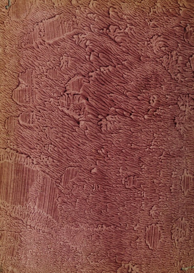 digitised image 2
