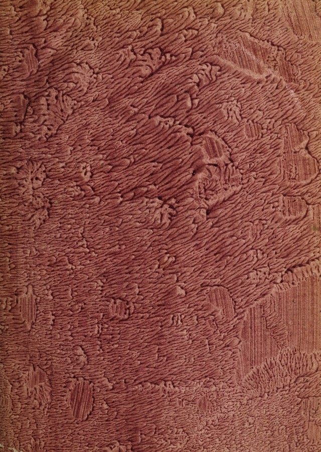 digitised image 3