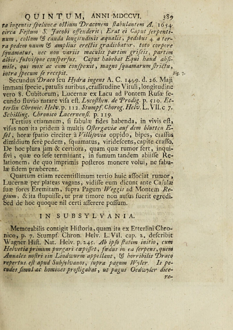 ta tngentts fpelmca otfium Draconem (fabulantem A. 165-4- circa Fejtnm S. Jacobi offenderit; Erat ei Caput ferpentl- num , collum & cauda longitudinis aqualis, pedibus 4 a ter¬ ra pedem unum & amplius ereptis gradiebatur, toto corpore fquamatus, nec non variis maculis partim grifeis, partim albis, fu Ivi (que confperfus. Caput habebat Equi haud abff mile, era confpexit, magno fquatnarumflriPlu, intra Jpecum fe recepit. tlg. Secundus Draco feu Hydra ingens A. C. 1499. d. 26. Maji immani fpecie,patulis auribus,craflkudine Vituli,longitudine vero 8. Cubitorum, Lucernae ex Lacu ad Pontem Rufe fe¬ cundo fluvio natare vifa el\.Lycofthen. de Rrodig. p. 510. Et- terlin Chronie. Helv. p. 112. Stumpf Chorog. Helv. L. VII. c 7. Schilling. Chronico Lucerncnji. p. 119. Tertius etiamnum, Ii fabulas fides habenda, in vivis eft, vifus non ita pridem a multis Oft er gavia auf dem blutten E- fel, horae fpatio circiter a Villijovia oppido, bipes, craflus dimidium fere pedem, fquamatus, viridefeens, capite craflo. De hoc plura jam & certiora, quam quas rumor fert, inqui- fivi, qua? eo fefe terminant, in fumum tandem abiilfe Re¬ lationem, de quo imprimis polteros monere volui, ne fabu¬ las fidem praeberent. Quartum etiam recentillimum tertio huic aflbeiat rumor, Lucernas per plateas vagans, vidifle eum dicunt ante Cafulas fuae fores Eremitam, fupra Pagum (Veggis ad Montem Re- gium, & ita (lupuifle,ut prae timore non aufus fuerit egredi. Sed de hoc quoque nil certi aflerere poiTum. IN SUBSYLVANIA. Memorabilis contigit Hiftoria, quam ita ex Etterlini Chro¬ nico, p. 7. Stumpf Chron. Helv. L. Vil. cap. 2. deferibit Wagner Hili. Nat. Helv. p. 245. Ab ipfo ftatim initio, cum Helvetia primum purgari coepiffet, foedus in ea ferpens ,quem Annales noftri ein Lindwurm appellant, & horribilis Draco repertus efl apud Subj'ylvanosy (upra pagum Wyler Is pe¬ cudes fimul ac homines profligabat, ut pagus Oedwyler dice-