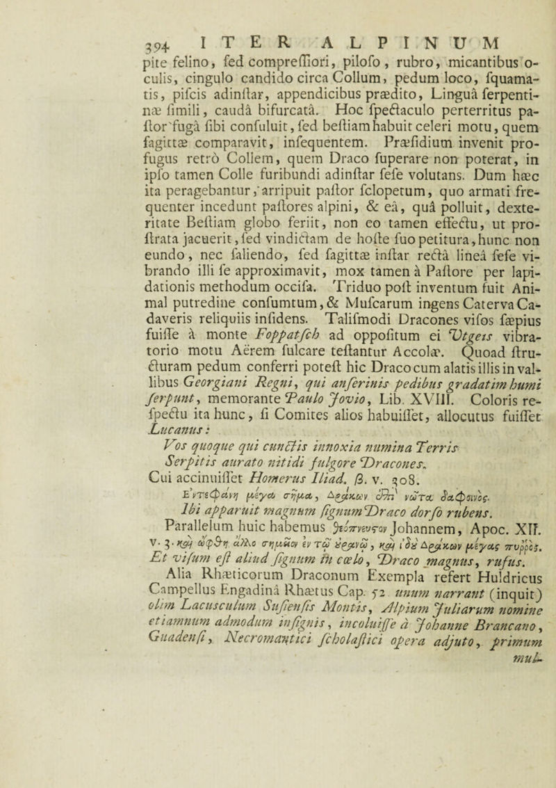 pite felino, fed comprefliori, pilofo, rubro, micantibus o- culis, cingulo candido circa Collum, pedum loco, fquama- tis, pifcis adindar, appendicibus prodito, Lingua ferpenti- nae fimili, cauda bifurcata. Hoc fpedaculo perterritus pa- llor'fuga fibi confuluit, fed bediam habuit celeri motu, quem fagittae comparavit, infequentem. Prafidium invenit pro¬ fugus retro Coliem, quem Draco fuperare non poterat, in ipfo tamen Colle furibundi adindar fele volutans. Dum haec ita peragebanturarripuit pallor fclopetum, quo armati fre¬ quenter incedunt pallores alpini, & ea, qud polluit, dexte¬ ritate Beiliam globo feriit, non eo tamen efledu, ut pro- llrata jacuerit,fed vindiciam de hode fuo petitura,hunc non eundo, nec faliendo, fed fagittae indar reda linea fefe vi¬ brando illi fe approximavit, mox tamen a Pallore per lapi¬ dationis methodum occila. Triduo poli inventum fuit Ani¬ mal putredine confumtum,& Mufcarum ingens Caterva Ca¬ daveris reliquiis infidens. Talifmodi Dracones vifos faepius fuide 'A monte Foppatfch ad oppofitum ei Vtgeis vibra- torio motu Aerem fulcare tedantur Accola*. Quoad dru- duram pedum conferri poted hic Draco cum alatis illis in val¬ libus Georgiani Regni, qui anferinis pedibus gradatim humi Jerpunt, memorante Taulo Jovio, Lib XVIII. Coloris re- fpedu ita hunc, fi Comites alios habuidet, allocutus fuidet Lucanus: Vos quoque qui cunciis innoxia numina Terris Serpit is aurato nitidi fulgore ‘Dracones„ Cui accinuidet Homerus Iliad. /3. v. qo8. E nT£<tp&Ay] peycb cr^pct, Aeptcuv dvn vutcl JctCpaivsg. Ibi apparuit magnum fignumHraco dorfo rubens. Parallelum huic habemus fiQ7rw<rw Johannem, Apoc. XII. V- b?Ko o-qpZcv ev tu xpjtvd, ^ A^kuv peyug 7rvppc$. Et vifum efi aliud fignum tii coelo, Draco magnus, rufus. Alia Rhaeticorum Draconum Exempla refert Huldricus Cnmpeilus Engadina Rha^tus Cap. fi unum narrant (inquit) eluti Lacusculum Sujienfis Montis, Hlpium fu harum nomine ttiamnum admodum m(ignis, incolui [fe d f oh anne Brancano, Guadenfi, Meer ornant ici fcholaftici opera adjuto, primum muL