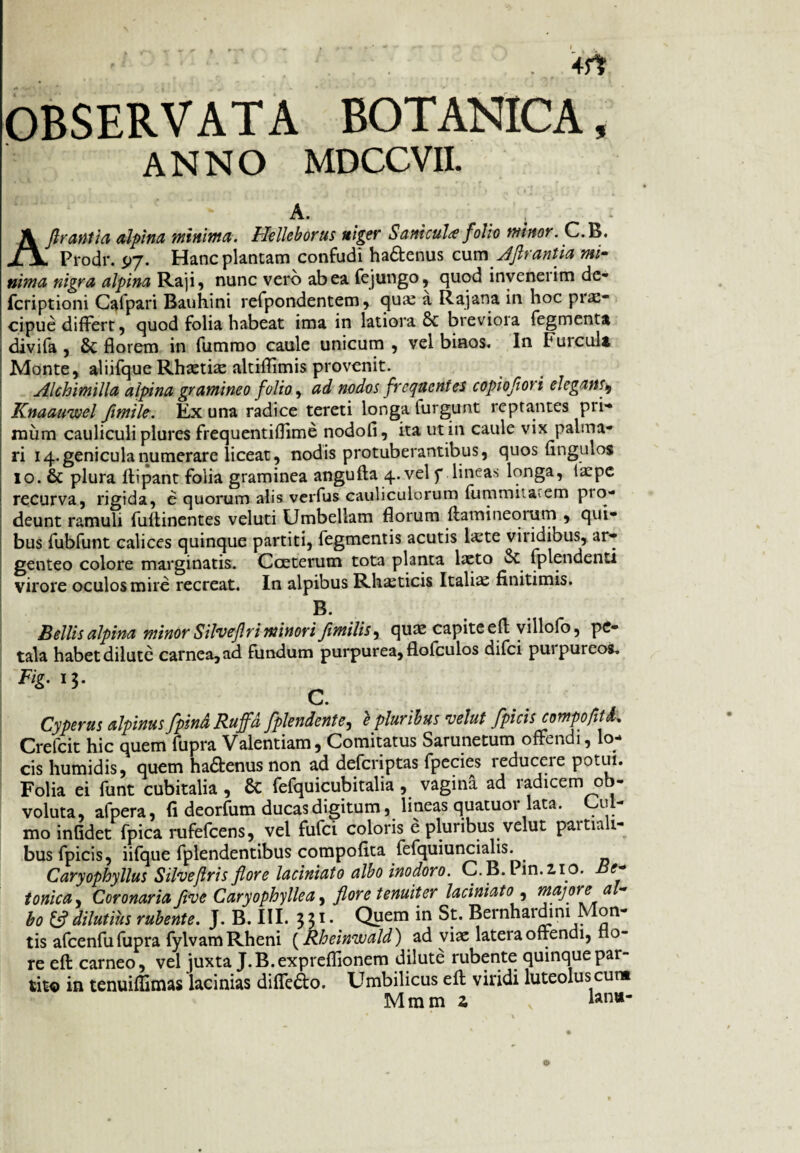 OBSERVATA BOTANICA, ANNO MDCCVII. A. , Aflrantia alpina minima. Hellcborus niger Samcul* folio minor. C.B. . Prodi*. 97. Hanc plantam confudi haftenus cum Aflrantia mi¬ nima nigra alpina Raji, nunc vero ab ea fe jungo, quod invenerim de- fcriptioni Cafpari Bauhini refpondentem, qua: a Rajana in hoc prae¬ cipue differt, quod folia habeat ima in latiora & breviora fegmenta divifa , & florem in fummo caule unicum , vel binos. In Fui culi Monte, aliifque Rhaethe altiflimis provenit. Alchimilla alpina gramineo folio, ad nodos frequentes copiojiori elegans, Knaauwel fimile. Ex una radice tereti longa lurgunt reptantes pri¬ mum cauliculi plures frequentiflime nodofi, ita ut in caule vix palma¬ ri 14. genicula numerare liceat, nodis protuberantibus, quos Angulos 10. & plura ftipant folia graminea angufta 4. vel f lineas longa, faepe recurva, rigida, e quorum alis verfus cauliculorum fummita em pio- deunt ramuli fuftinentes veluti Umbellam florum ffamineorum , qui¬ bus fubfunt calices quinque partiti, Tegmentis acutis litte viiidibus, ar¬ genteo colore marginatis. Cceterum tota planta laeto St fplendenti virore oculos mire recreat. In alpibus Rhaeticis Italia finitimis. B. Bellis alpina minor Silveflri minori fimilis, quas capite e A villofo, pe¬ tala habet dilute carnea, ad fundum purpurea, flofculos difei purpureos, Fig. 13. C. Cyperus alpinus[pindRuffd fplendente, e pluribus velat [picis compofitL Crefcit hic quem fupra Valentiam, Comitatus Sarunetum offendi, lo¬ cis humidis, quem hadenus non ad deferiptas fpecies reducere potui. Folia ei funt cubitalia, & fefquicubitalia , vagina ad radicem ob¬ voluta, afpera, fi deorfum ducas digitum, lineas quatuor lata. Cul¬ mo infidet fpica rufefeens, vel fufei coloris e pluribus velut paitiali- bus fpicis, iifque fplendentibus compofita fefquiuncialis. Caryophyllus Silvejlris flore laciniato albo inodoro. C.B.Pin.110. Be¬ tonica, Coronaria flve Caryophyllea, flore tenuiter laciniato , majore al¬ bo 13 dilutius rubente. J. B. III. 331. Quem in St. Bernhaidim Mon¬ tis afcenfu fupra fylvam Rheni (Rheinwald) ad viae latera offendi, rlo- re eft carneo, vel juxta J.B.expreflionem dilute rubente quinquepar¬ tito in tenuiflimas lacinias diffe&o. Umbilicus efl: viridi luteoluscur* Mmm z \ lanu-