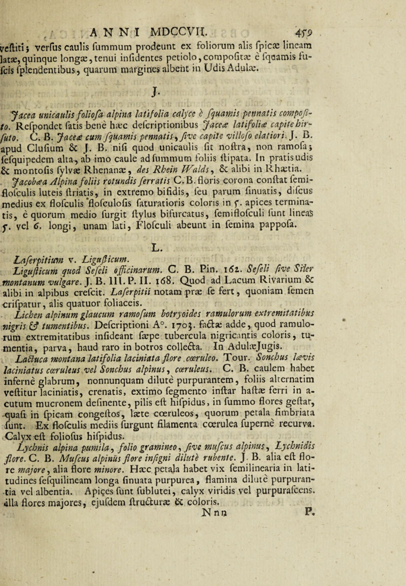 veflitij verfus caulis fummum prodeunt ex foliorum alis fpicae lineam latae,quinque longae,tenui infidentes petiolo, compofit^: e fqaamisfu- fcis fplendentibus, quarum margines albent in Udis Adula:. J- Jacea unicaulis foliofa alpim latifolia calyce h fquamis pennatis compoji- to. Refpondet fatis bene hiec defcriptionibus Jacea latifolia capite hir- futo. C. B. Jacea cum fquamis pennatis, flve capite villcfo elatiori,). B. apud Cludum & J. B. nifi quod unicaulis fit noftra, non ramofaj fefquipedem alta-, ab imo caule ad fummum foliis llipata. In pratis udis & montofis fylvae Rhenanae, des Rhein fValds^ & alibi in Rhaetia. Jacob a a Alpina foliis rotundis ferratis C.B. floris corona conflat lemi- flofculis luteis flriatis, in extremo bifidis, feu parum finuatis, difcus medius ex flofculis *flofculofis faturatioris coloris in f. apices termina¬ tis, equorum medio furgit ftylus bifurcatus, femiflofculi funt lineas j\ vel 6. longi, unam lati, Flofculi abeunt in femina pappofa. L. Laferpitium v. Liguflicum. Ligujlicum quod Sefeli officinarum. C. B. Pin. 161. Sefeli five Siler montanum vulgare.). B. 111. P. II. 168. Quod ad Lacum Rivarium & alibi in alpibus crefcit. Laferpitii notam prae fe fert, quoniam femen crifpatur, alis quatuor foliaceis. Lichen alpinum glaucum ramofum botryoides ramulorum extremitatibus nigris IA tumentibus. Defcriptioni A°. 1703. fa&ae adde, quod ramulo¬ rum extremitatibus infideant faepe tubercula nigricantis coloris, tu¬ mentia, parva, haud raro in botros colledla. In Adulaejugis. Labluca montana latifolia laciniata flore. ceeruko. Tour. Sonchus lavis laciniatus coeruleus vel Sonchus alpinus, coeruleus. C. B. caulem habet inferne glabrum, nonnunquam dilute purpurantem, foliis alternatim vellitur laciniatis, crenatis, extimo fegmento inflar haftae ferri in a- cutum mucronem definente, pilis efl hifpidus, in fummo flores geftar, quafi in fpicam congellos, laete coeruleos, quorum petala fimbriata funt. Ex flofculis mediis furgunt filamenta coerulea fuperne recurva. Calyx eft foliofus hifpidus. Lychnis alpina pumila, folio gramineo, five mufcus alpinus, Lychnidis flore. C. B. Mufcus alpinus flore infigni dilute rubente. J. B. alia efl flo¬ re majore, alia flore minore. Haec petala habet vix femilinearia in lati¬ tudines fefquilineam longa finuata purpurea, flamina dilute purpuran¬ tia vel albentia. Apices funt fublutei, calyx viridis vel purpurafcens. alia flores majores, ejufdem firu&urae & coloris. N no P.