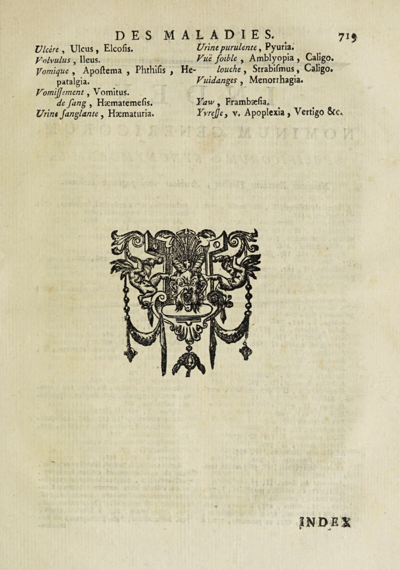 Vldrc, Ulcus, Elcofis. Volvulus, Ileus. Vomique. , Apofteraa , Phthllis , patalgia. Vomijjement, Vomitus. de fang, Hsematemefis. Urine Jangiante, Haematuria. Urine purulente, Pyuria. Vue foible , Amblyopia , Caligo. He- louche, Strabifmus, Caligo. Vuidanges, Menorrhagia. Yaw, Frambaefia. Yvre^e, v. Apoplexia, Vertigo &:c., INDEX *■