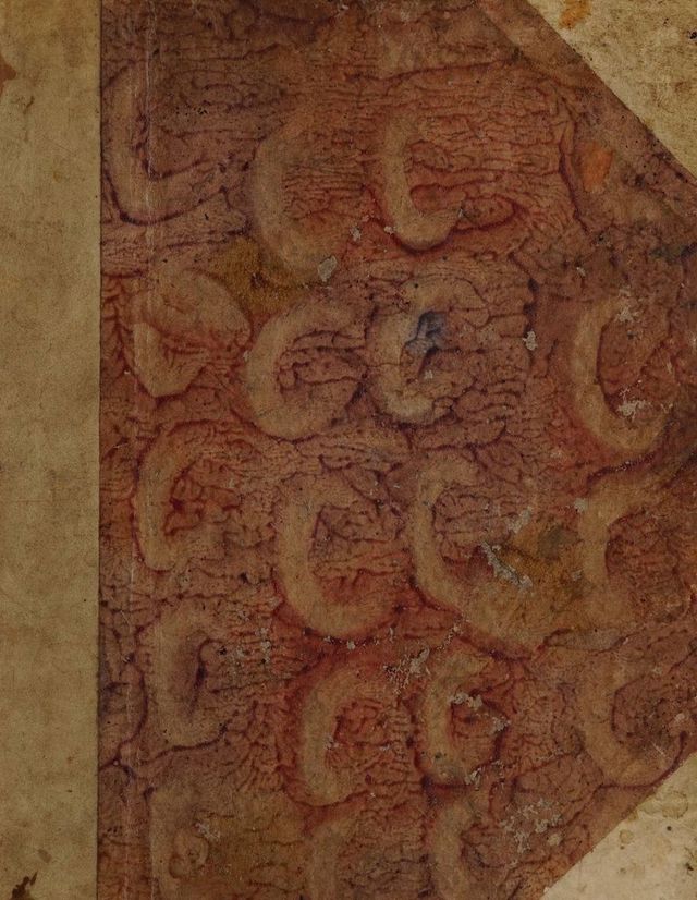 digitised image 1