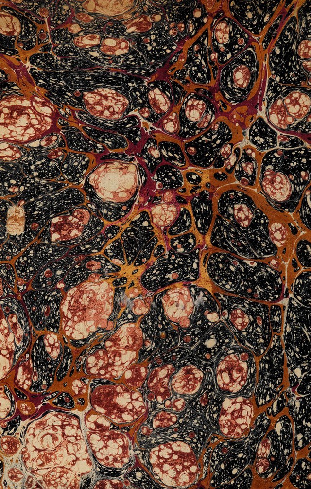 No text description is available for this image