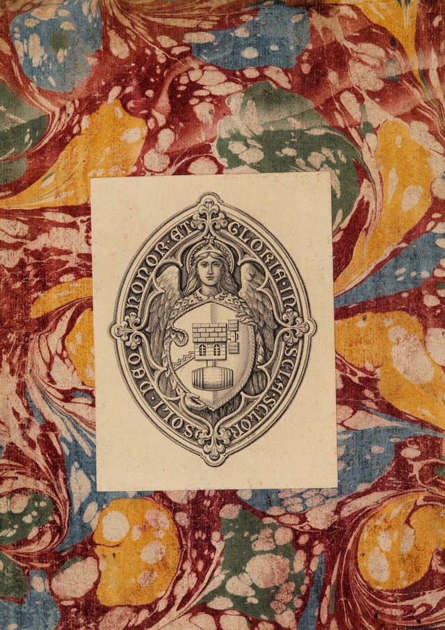 No text description is available for this image