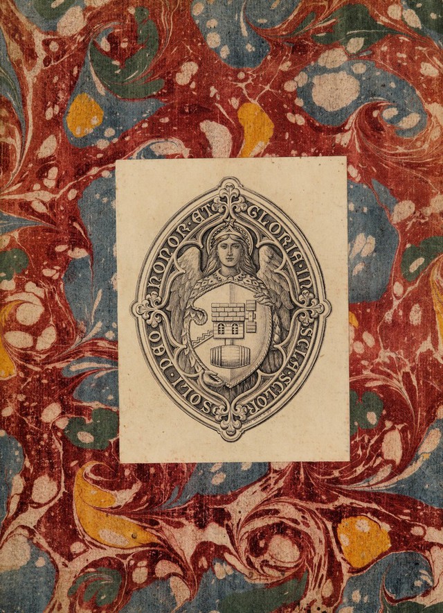 No text description is available for this image