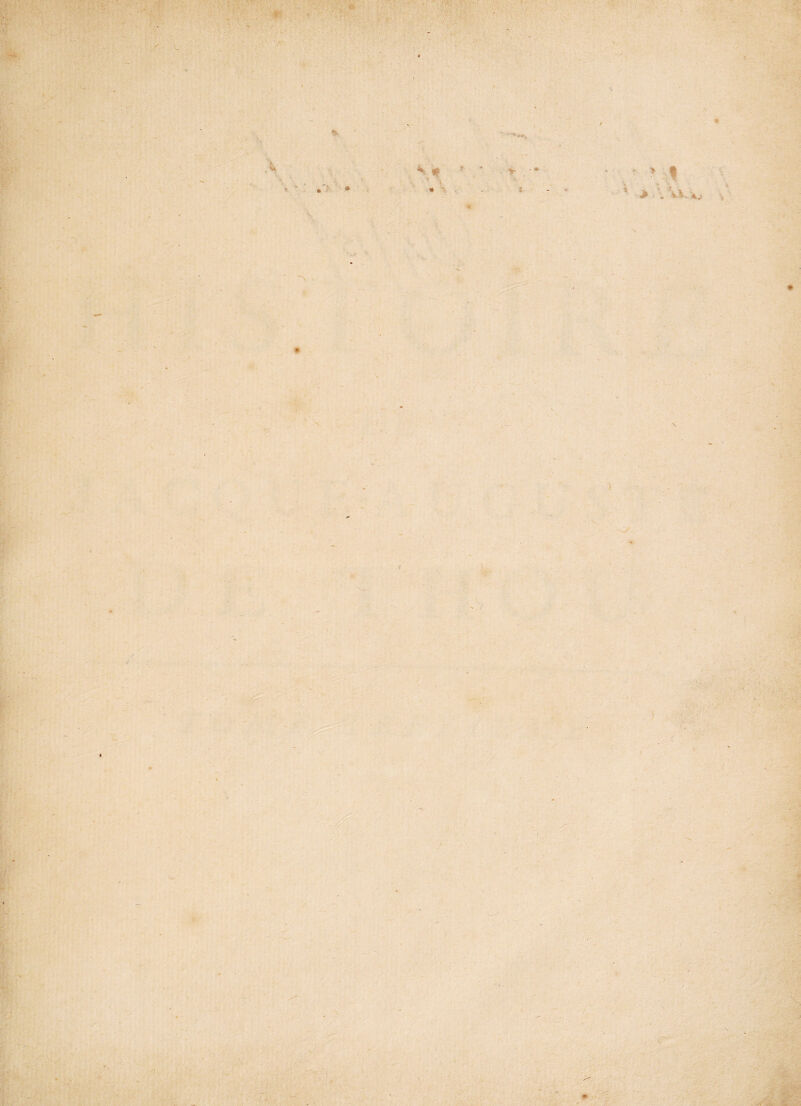 v • : '■ ' < ‘V it.* «• / î- ^ ■ •? ? t > . V.V.. 4.( \ 1 < ) ’S . * ' - f