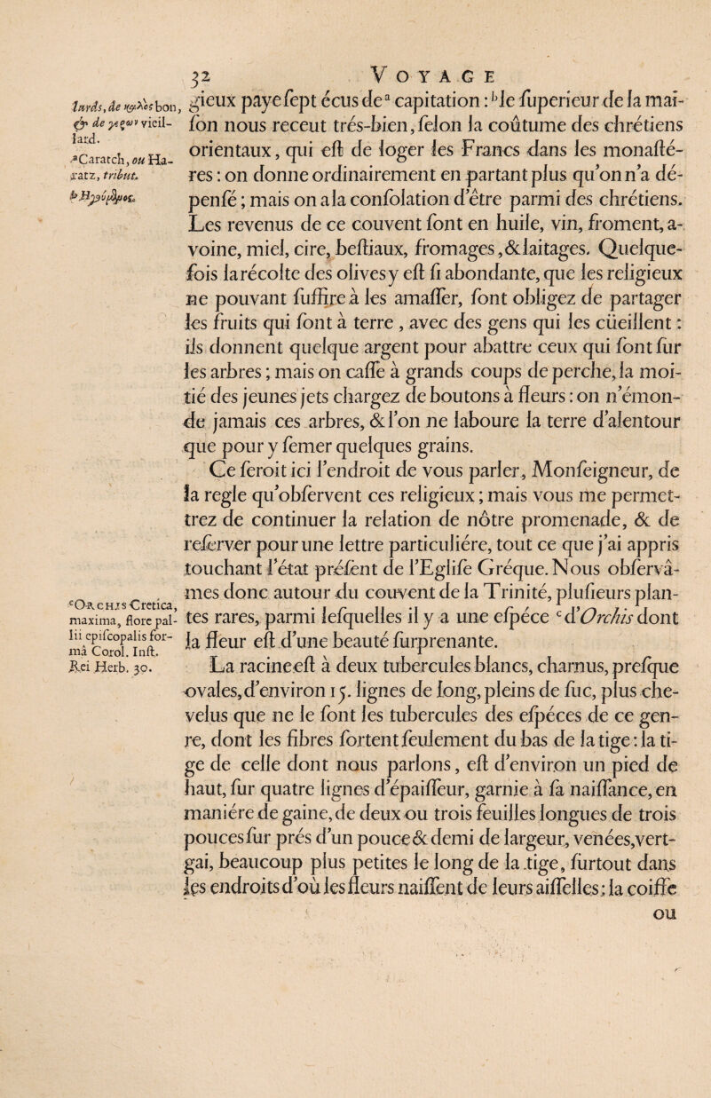 tards, de ? bon & de yçwv vieil— lard. ^Caratcîi, ou Ha- aratz, tribut.. cO-b, CHjs-Cretica, maxima, flore pal- lii cpifcopalis for¬ ma Corol. In fl:,. Jlei Herb, 30. ^32 V OTAGE gieux payefept écus dea capitation : bJe fuperieur de la mai- fon nous receut très-bien 5feion la coutume des chrétiens orientaux, qui eft de loger les Francs dans les monafté- res : on donne ordinairement en partant plus qu'on n'a dé- penfe ; mais on a la confolation d'être parmi des chrétiens. Les revenus de ce couvent font en huile, vin, froment, a- voine, miel, cire,beftiaux, fromages,&laitages. Quelque¬ fois la récolte des olives y eft fi abondante, que les religieux ne pouvant fuffireà les amafler, font obligez de partager les fruits qui font à terre , avec des gens qui les cüeillent : iis donnent quelque argent pour abattre ceux qui font fur les arbres ; mais on cafTe à grands coups de perche, la moi¬ tié des jeunes jets chargez de boutons à fleurs : on n'émon¬ de jamais ces arbres, & l'on ne laboure la terre d'alentour que pour y femer quelques grains. Ce feroit ici l'endroit de vous parler, Monfèigneur, de îa réglé qu'obfervent ces religieux ; mais vous me permet¬ trez de continuer la relation de nôtre promenade, & de referver pour une lettre particulière, tout ce que j ai appris touchant l'état préfènt de l'Eglifè Gréque. Nous obfervâ- mes donc autour du couvent de la Trinité, plaideurs plan¬ tes rares, parmi lefquelles il y a une efpéce c à’Orchis dont Ja fleur eft d'une beauté furprenante. La racineeft à deux tubercules blancs, charnus, prefque ovales,d'environ i^;. lignes de long, pleins de fiic, plus che¬ velus que ne le font les tubercules des efpéces de ce gen¬ re, dont les fibres fortent feulement du bas de la tige : la ti¬ ge de celle dont nous parlons, eft d'environ un pied de haut, fur quatre lignes d'épaifleur, garnie à fa naiflance, en manière de gaine, de deux ou trois feuilles longues de trois poucesfur prés d'un pouce&demi de largeur, venées,vert- gai, beaucoup plus petites le long de la.tige, fùrtout dans Içs endroits d'où les fleurs naiffent de leurs aiflelles : la coiffe ou