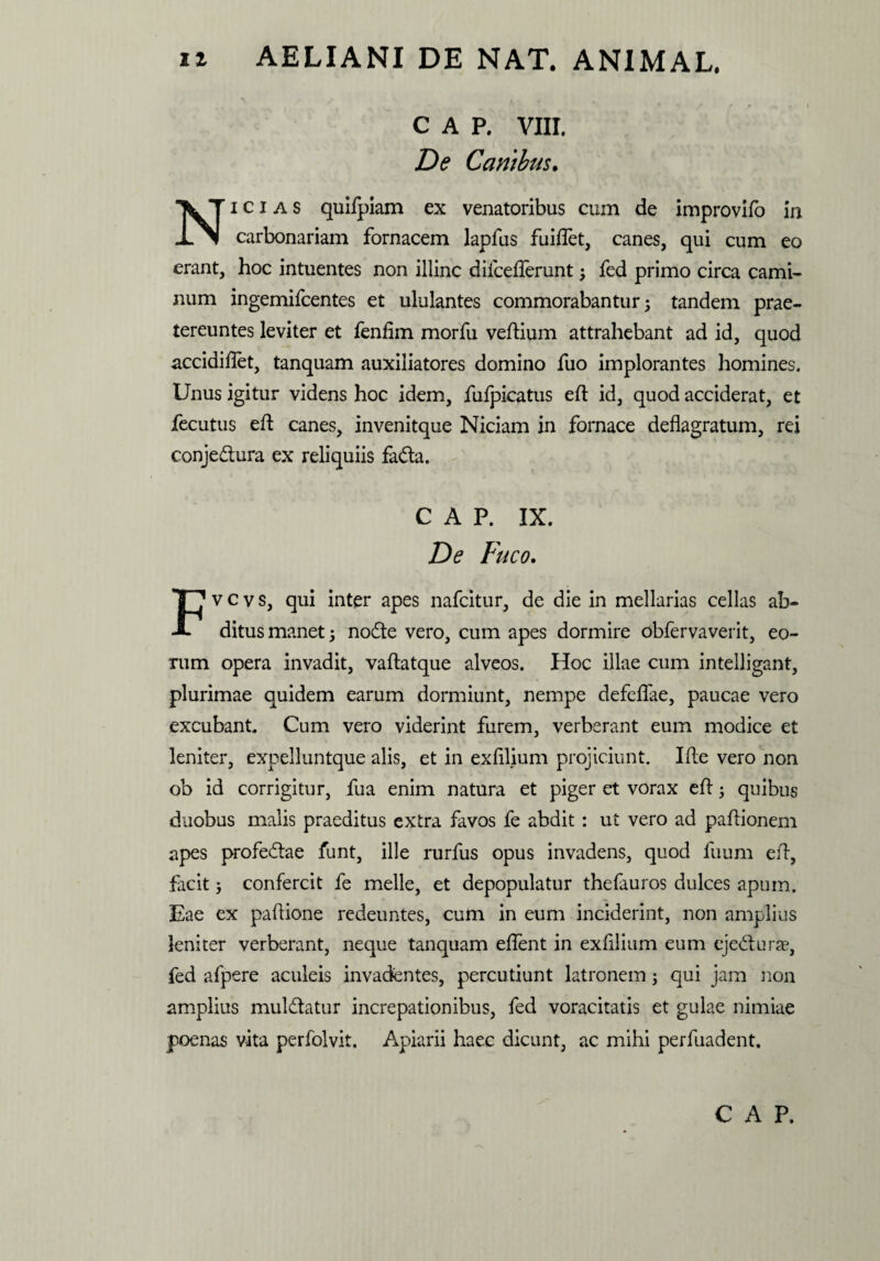 C A P. VIII. De Canibus. i c i a s quifpiam ex venatoribus cum de improvifo in -L^i carbonariam fornacem lapfus fuiffet, canes, qui cum eo erant, hoc intuentes non illinc dilcefterunt 3 fed primo circa cami¬ num ingemifcentes et ululantes commorabantur 3 tandem prae¬ tereuntes leviter et fenfim morfu veftium attrahebant ad id, quod accidiftet, tanquam auxiliatores domino fuo implorantes homines. Unus igitur videns hoc idem, fufpicatus eft id, quod acciderat, et fecutus eft canes, invenitque Niciam in fornace deflagratum, rei conjedura ex reliquiis fada. C A P. IX. De Fuco. v c v s, qui inter apes nafcitur, de die in mellarias cellas ab- A ditus manet 3 node vero, cum apes dormire obfervaverit, eo¬ rum opera invadit, vaftatque alveos. Hoc illae cum intelligant, plurimae quidem earum dormiunt, nempe defeflae, paucae vero excubant. Cum vero viderint furem, verberant eum modice et leniter, expelluntque alis, et in exfilium projiciunt. Ifte vero non ob id corrigitur, fua enim natura et piger et vorax eft 3 quibus duobus malis praeditus extra favos fe abdit: ut vero ad paftionem apes profedae funt, ille rurfus opus invadens, quod fuum eft, facit 3 confercit fe meile, et depopulatur thefauros dulces apum. Eae ex paftione redeuntes, cum in eum inciderint, non amplius leniter verberant, neque tanquam eflent in exfilium eum ejedurae, fed afpere aculeis invadentes, percutiunt latronem 3 qui jam non amplius muldatur increpationibus, fed voracitatis et gulae nimiae poenas vita perfolvit. Apiarii haec dicunt, ac mihi perfuadent.