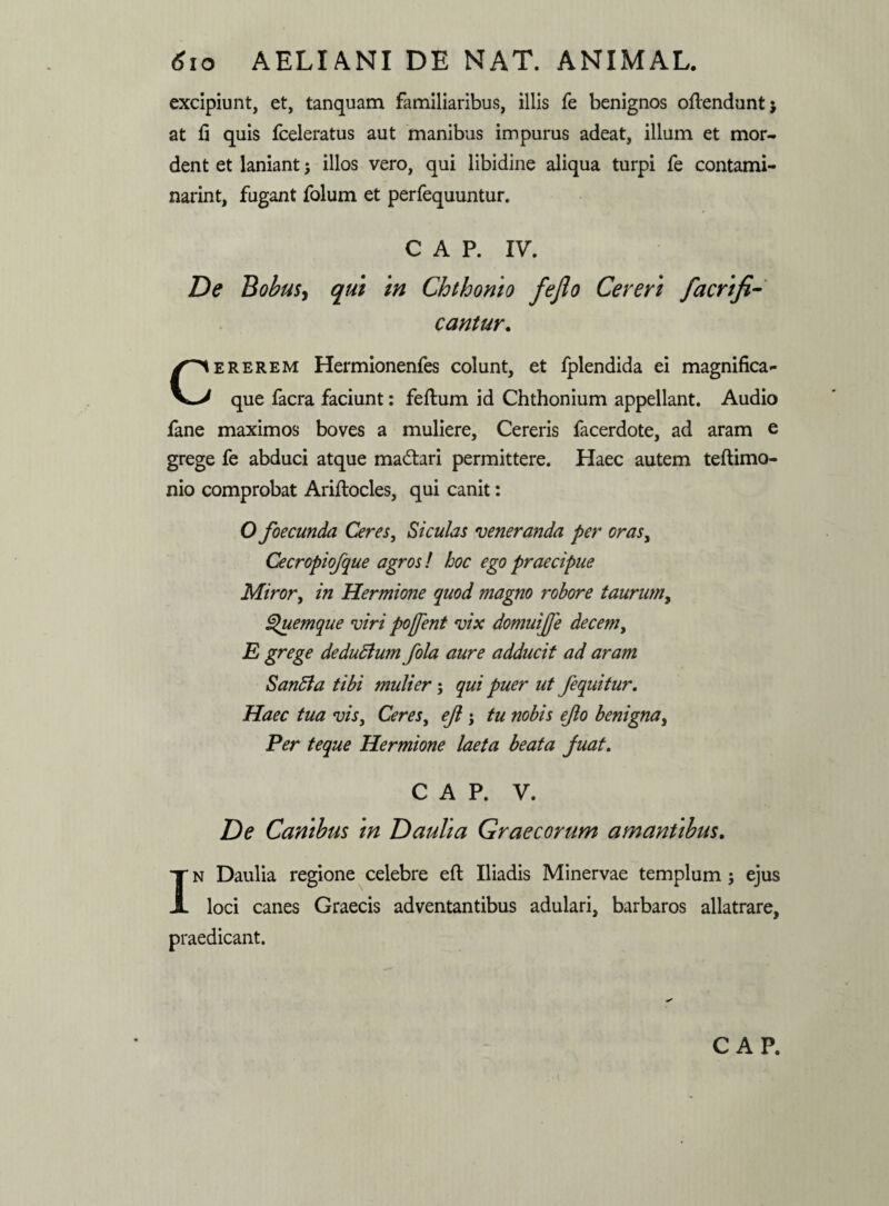 excipiunt, et, tanquam familiaribus, illis fe benignos oftendunt; at fi quis fceleratus aut manibus impurus adeat, illum et mor¬ dent et laniant; illos vero, qui libidine aliqua turpi fe contami- narint, fugant folum et perfequuntur. C A P. IV. De Bobus, qui in Chthonio feflo Cereri facrifi- cantur. Cererem Hermionenfes colunt, et iplendida ei magnifica - que facra faciunt: feftum id Chthonium appellant. Audio fane maximos boves a muliere, Cereris facerdote, ad aram e grege fe abduci atque mactari permittere. Haec autem teftimo- nio comprobat Ariflocles, qui canit: O foecunda Ceres, Siculas veneranda per oras, Cecropiofque agros ! hoc ego praecipue Miror, in Hermione quod magno robore taurum, Quemque viri poffent vix domuijje decem, E grege dedubium fola aure adducit ad aram SanEla tibi mulier; qui puer ut /equitur. Haec tua vis, Ceres, ejl j tu nobis e/o benigna. Per teque Hermione laeta beata juat. C A P. V. De Canibus in Daulia Graecorum amantibus. In Daulia regione celebre eft Iliadis Minervae templum ; ejus loci canes Graecis adventantibus adulari, barbaros allatrare, praedicant. C AP.
