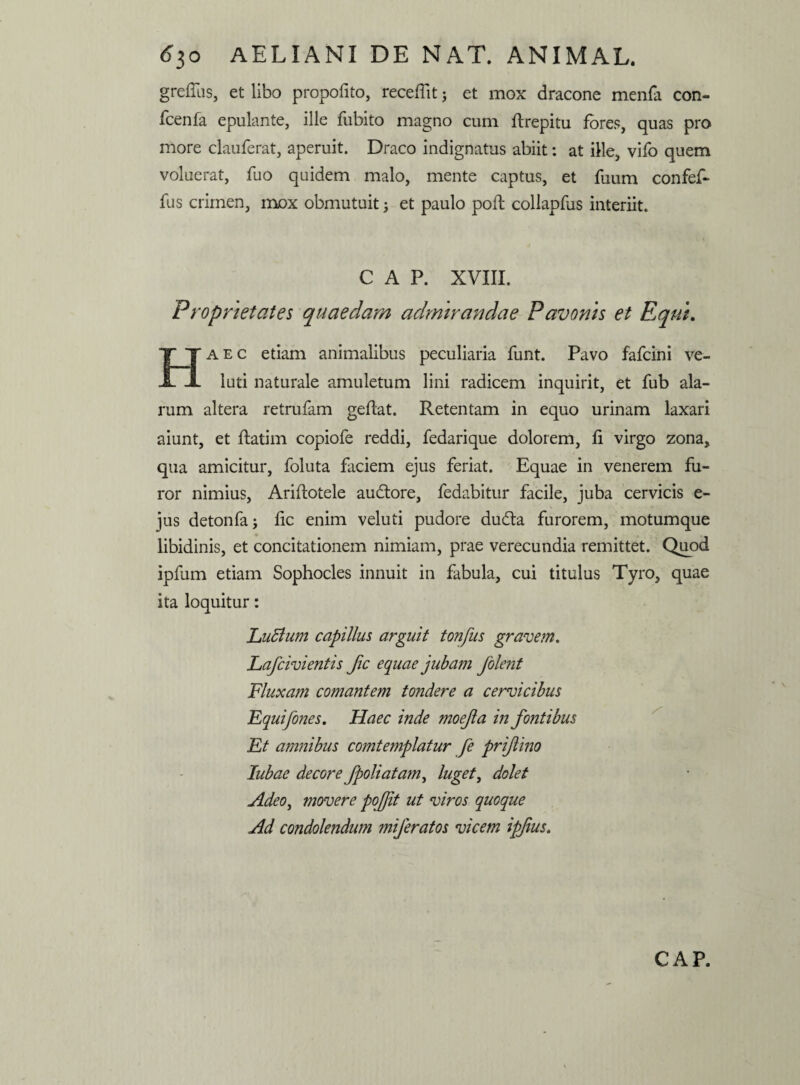 greffus, et libo propofito, rece/Tit j et mox dracone menfa con- fcenfa epulante, ille fubito magno cum flrepitu fores, quas pro more clauferat, aperuit. Draco indignatus abiit: at ille, vifo quem voluerat, fuo quidem malo, mente captus, et fuum confef- fus crimen, mox obmutuit; et paulo poft collapfus interiit. C A P. XVIII. Proprietates quaedam admirandae Pavonis et Equi. Haec etiam animalibus peculiaria funt. Pavo fafcini ve- luti naturale amuletum lini radicem inquirit, et fub ala¬ rum altera retrufam geflat. Retentam in equo urinam laxari aiunt, et flatim copiofe reddi, fedarique dolorem, fi virgo zona, qua amicitur, foluta faciem ejus feriat. Equae in venerem fu¬ ror nimius, Ariftotele audlore, fedabitur facile, juba cervicis e- jus detonfaj fic enim veluti pudore dudfa furorem, motumque libidinis, et concitationem nimiam, prae verecundia remittet. Quod ipfum etiam Sophocles innuit in fabula, cui titulus Tyro, quae ita loquitur: LuBum capillus arguit tonfus gravem. Lafcivientis fic equae jubam folent Fluxam comantem tondere a cervicibus Fquifones. Haec inde moejta in fontibus Et amnibus comtemplatur fe prif ino Iubae decore fpoliatam, luget, dolet Adeo, movere pojjit ut viros quoque Ad condolendum mijeratos vicem ipfius. CAP.