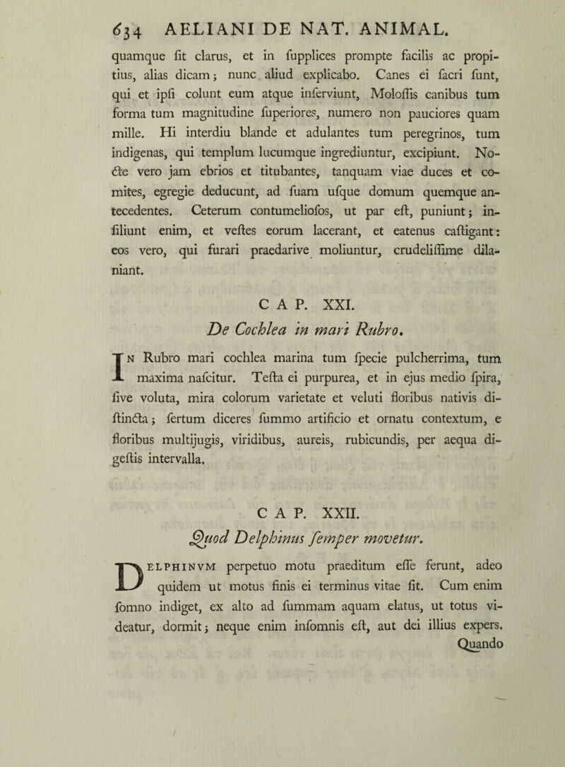 quamque fit clarus, et in fupplices prompte facilis ac propi¬ tius, alias dicam; nunc aliud explicabo. Canes ei facri funt, qui et ipfi colunt eum atque inferviunt, Moloftis canibus tum forma tum magnitudine fuperiores, numero non pauciores quam mille. Hi interdiu blande et adulantes tum peregrinos, tum indigenas, qui templum lucumque ingrediuntur, excipiunt. No- <fte vero jam ebrios et titubantes, tanquam viae duces et co¬ mites, egregie deducunt, ad fuam ufque domum quemque an¬ tecedentes. Ceterum contumeliofos, ut par eft, puniunt; in- filiunt enim, et veftes eorum lacerant, et eatenus caftigant: eos vero, qui furari praedarive moliuntur, crudeliflime dila¬ niant. C A P. XXI. De Cochlea m mari Rubro. In Rubro mari cochlea marina tum fpecie pulcherrima, tum maxima nafcitur. Tefta ei purpurea, et in ejus medio fpira, live voluta, mira colorum varietate et veluti floribus nativis di- \ ftin&a; fertum diceres fummo artificio et ornatu contextum, e floribus multijugis, viridibus, aureis, rubicundis, per aequa di- geftis intervalla. C A P. XXII. Qtiod Delphinus femper movetur. Delphinvm perpetuo motu praeditum effle ferunt, adeo quidem ut motus finis ei terminus vitae fit. Cum enim fomno indiget, ex alto ad fummam aquam elatus, ut totus vi¬ deatur, dormit; neque enim infomnis eft, aut dei illius expers. Quando /