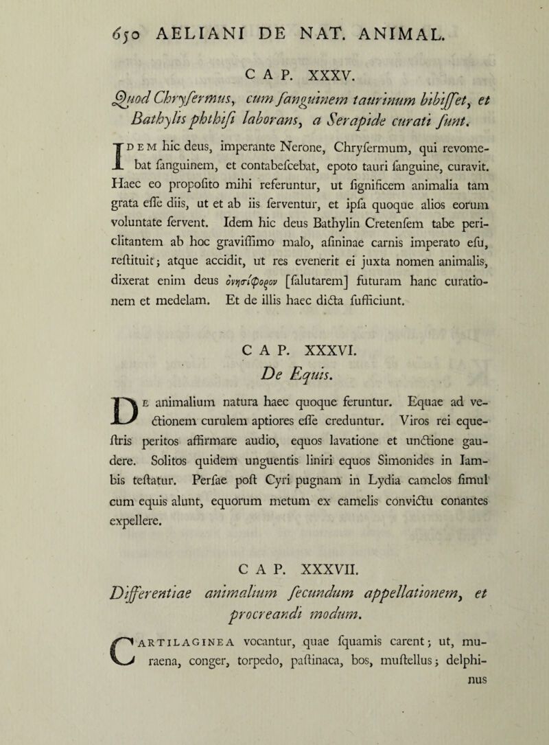 C A P. XXXV. Quod Chryfermus, cum fanguinem taurinum bibiffet, et Balhy/is phthifi laborans, <2 Serapide curati funt. Idem hic deus, imperante Nerone, Chryfermum, qui revome¬ bat fanguinem, et contabefcebat, epoto tauri fanguine, curavit. Haec eo propofito mihi referuntur, ut fignificem animalia tam grata efle diis, ut et ab iis ferventur, et ipfa quoque alios eorum voluntate fervent. Idem hic deus Bathylin Cretenfem tabe peri¬ clitantem ab hoc graviffimo malo, afininae carnis imperato efu, reflituit; atque accidit, ut res evenerit ei juxta nomen animalis, dixerat enim deus ovqrtyopov [falutarem] futuram hanc curatio¬ nem et medelam. Et de illis haec didta fufficiunt. C A P. XXXVI. De animalium natura haec quoque feruntur. Equae ad ve- dtionein curulem aptiores effe creduntur. Viros rei eque- ffris peritos affirmare audio, equos lavatione et undtione gau¬ dere. Solitos quidem unguentis liniri equos Simonides in Iam¬ bis teftatur. Perfae poft Cyri pugnam in Lydia camelos fimul cum equis alunt, equorum metum ex camelis convi&u conantes expellere. C A P. XXXVII. Differentiae animalium fecundum appellatio?iemy et procreandi modum. Cartilaginea vocantur, quae fquamis carent j ut, mu- raena, conger, torpedo, paffinaca, bos, muftellus; delphi¬ nus