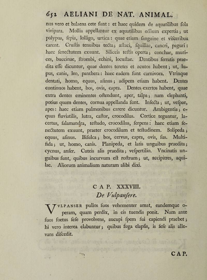 nus vero et balaena cete funt: et haec quidem de aquatilibus fola vivipara. Mollia appellamur ex aquatilibus offiuin expertia; ut polypus, fepia, lolligo, urtica: quae etiam fanguine et vifceribus carent. Cruftis tenuibus tedta; aflaci, fquillae, cancri, paguri: haec fenedtutem exuunt. Siliceis teftis operta; conchae, muri¬ ces, buccinae, ftrombi, echini, locuftae. Dentibus ferratis prae¬ dita efle dicuntur, quae dentes teretes et acutos habent; ut, lu¬ pus, canis, leo, panthera: haec eadem funt carnivora. Vtrinque dentati, homo, equus, aflnus; adipem etiam habent. Dentes continuos habent, bos, ovis, capra. Dentes/exertos habent, quae extra dentes eminentes oftendunt, aper, talpa; nam elephanti, potius quam dentes, cornua appellanda funt. Infecta; ut, vefpae, apes: haec etiam pulmonibus carere dicuntur. Ambigentia; e- quus fluviatilis, lutra, caftor, crocodilus. Cortice teguntur, la¬ certus, falainandya, teftudo, crocodilus, ferpens: haec etiam fe¬ nedtutem exuunt, praeter crocodilum et tefludinem. Solipeda; equus, afinus. Bifulca; bos, cervus, capra, ovis, fus. Multi¬ fida; ut, homo, canis. Planipeda, et latis unguibus praedita; cycnus, anfer. Cuteis alis praedita; vefpertilio. Vncinatis un¬ guibus funt, quibus incurvum efl: roftrum; ut, accipitres, aqui¬ lae. Aliorum animalium naturam alibi dixi. C A P. XXXVIII. De Vulpanfere. vlpanser pullos fuos vehementer amat, eandemque o- V peram, quam perdix, in eis tuendis ponit. Nam ante fuos foetus fefe provolvens, aucupi fpem fui capiendi praebet; hi vero interea elabuntur; quibus fuga elapfis, is fefe alis alle¬ vans difcedit. CAP.