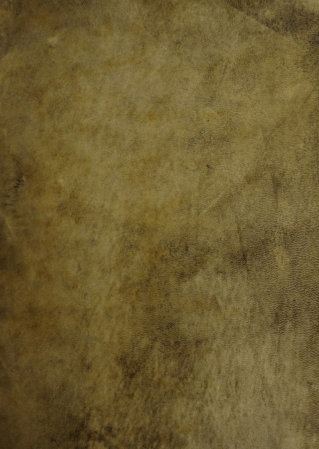 No text description is available for this image