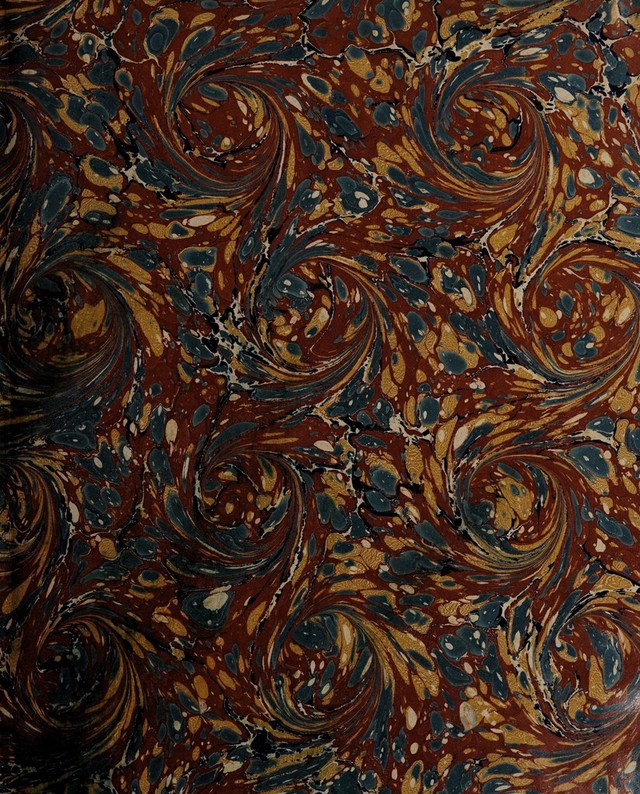 digitised image 3