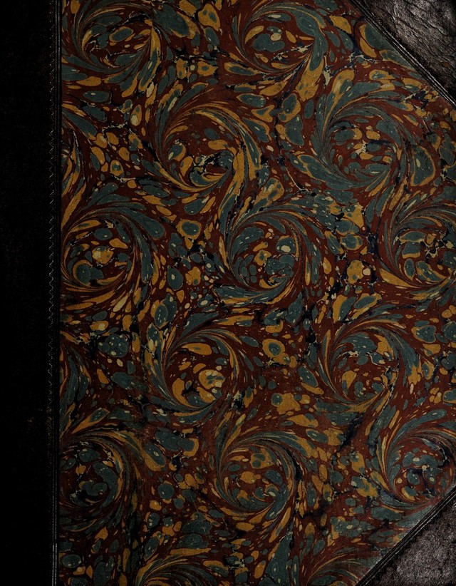 digitised image 1