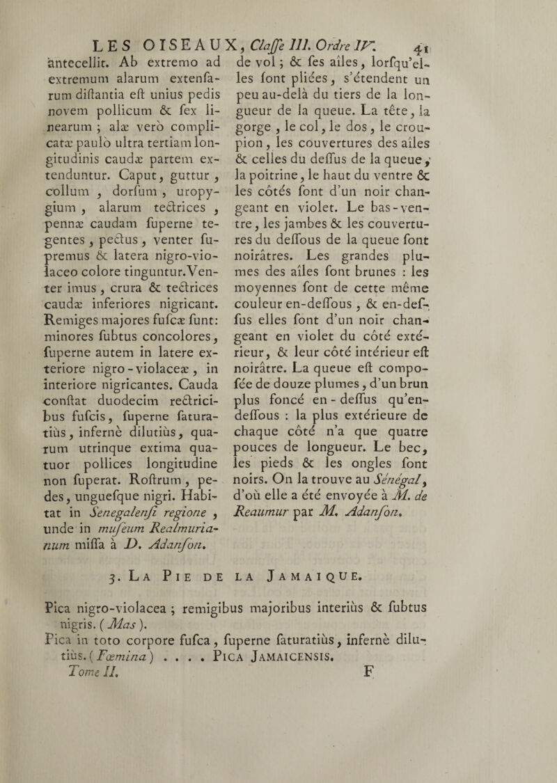 antecellit. Ab extremo ad extremum alarum extenfa- rum diftantia eft unius pedis novem pollicum ôc fex li¬ nearum ; alæ vero compli¬ catae paulo ultra tertiam lon¬ gitudinis caudæ partem ex¬ tenduntur. Caput, guttur, collum , dorfum , uropy- gium , alarum tectrices , pennæ caudam fuperne te¬ gentes , pedtus, venter fu- premus & latera nigro-vio- laceo colore tinguntur.Ven- ter imus, crura & tedtrices caudæ inferiores nigricant. Remiges majores fufcæ funt: minores fubtus concolores, fuperne autem in latere ex¬ teriore nigro-violaceæ, in interiore nigricantes. Cauda conftat duodecim redtrici- bus fufeis, fuperne fatura- tiiis, infernè dilutius, qua¬ rum utrinque extima qua¬ tuor pollices longitudine non fuperat. Roftrum , pe¬ des, unguefque nigri. Habi¬ tat in Senegalenji regione , unde in mujeum Realmuria- num mifla à 1). Adanfon. de vol ; & fes ailes, lorsqu’el¬ les font pliées, s’étendent un peu au-delà du tiers de la lon¬ gueur de la queue. La tête, la gorge , le col, le dos , le crou¬ pion , les couvertures des ailes ôc celles du deiïùs de la queue,’ la poitrine, le haut du ventre ôc les côtés font d’un noir chan¬ geant en violet. Le bas-ven¬ tre, les jambes ôc les couvertu¬ res du delfous de la queue font noirâtres. Les grandes plu¬ mes des ailes font brunes : les moyennes font de cette même couleur en-deffous, ôc en-def- fus elles font d’un noir chan¬ geant en violet du côté exté¬ rieur, & leur côté intérieur eft noirâtre. La queue eft compo- fée de douze plumes , d’un brun plus foncé en - deifus qu’en- deflous : la plus extérieure de chaque côté n’a que quatre pouces de longueur. Le bec, les pieds ôc les ongles font noirs. On la trouve au Sénégal, d’où elle a été envoyée à M. de Reaumur par M. Adanfon, 3. La Pie de la Jamaïque. Pica nigro-violacea ; remigibus majoribus interiùs ôc fubtus nigris. ( Mas ). Pica in toto corpore fufca, fuperne faturatiùs, infernè dilu- tins. ( Fœmina ) .... Pica Jamaicensis. Tome IL F