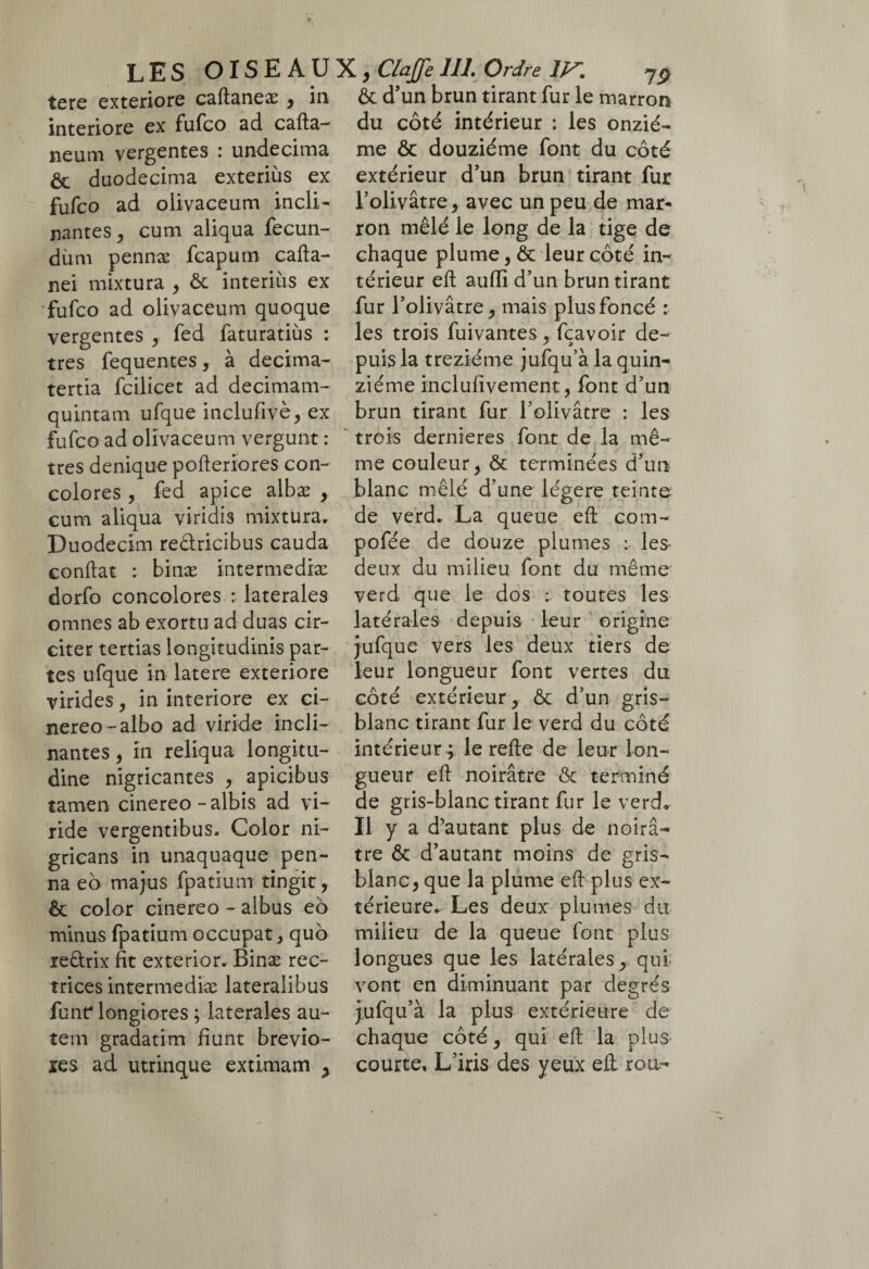 tere exteriore caftaneæ , in & d’un brun tirant fur le marron du côté intérieur : les onzié- interiore ex fufco ad cafta- neum vergentes : undecima & duodecima exterius ex fufco ad olivaceum incli¬ nantes , cum aliqua fecun¬ dum pennæ fcaputn cafta- nei mixtura , & interitis ex fufco ad olivaceum quoque vergentes , fed faturatiùs : tres fequentes, à decima- tertia fcilicet ad decimam- quintam ufque inclufivè, ex fufco ad olivaceum vergunt : tres denique pofteriores con¬ colores , fed apice albæ , cum aliqua viridis mixtura. Duodecim reêtricibus cauda conftat : binæ intermedræ dorfo concolores : laterales omnes ab exortu ad duas cir¬ citer tertias longitudinis par¬ tes ufque in latere exteriore virides, in interiore ex ci¬ nereo-albo ad viride incli¬ nantes , in reliqua longitu¬ dine nigricantes , apicibus tamen cinereo - albis ad vi¬ ride vergentibus. Color ni¬ gricans in unaquaque pen¬ na eo majus fpatium tingit, & color cinereo - albus eo minus fpatium occupat, quo re&rix fit exterior, Binæ rec¬ trices intermediae lateralibus funt* longiores ; laterales au¬ tem gradatim fiunt brevio- tes ad utrinque extimam , me & douzième font du côté extérieur d’un brun tirant fur l’olivâtre, avec un peu de mar¬ ron mêlé le long de la tige de chaque plume, & leur côté in¬ térieur eft aufti d’un brun tirant fur l’olivâtre, mais plus foncé : les trois fuivantes, fçavoir de¬ puis la treziéme jufqu’à la quin¬ ziéme inclufivement, font d’un brun tirant fur l’olivâtre : les trois dernieres font de la mê¬ me couleur, & terminées d’un blanc mêlé d’une légère teinte de verd. La queue eft com- pofée de douze plumes : les- deux du milieu font du même verd que le dos : toutes les latérales depuis leur origine jufque vers les deux tiers de leur longueur font vertes du côté extérieur, & d’un gris- blanc tirant fur le verd du côté intérieur ; le refte de leur lon¬ gueur eft noirâtre & terminé de gris-blanc tirant fur le verd* Il y a d’autant plus de noirâ¬ tre & d’autant moins de gris- blanc, que la plume eft plus ex¬ térieure, Les deux plumes du milieu de la queue font plus longues que les latérales, qui vont en diminuant par degrés jufqu’à la plus extérieure de chaque côté, qui eft la plus courte. L’iris des yeux eft rou-