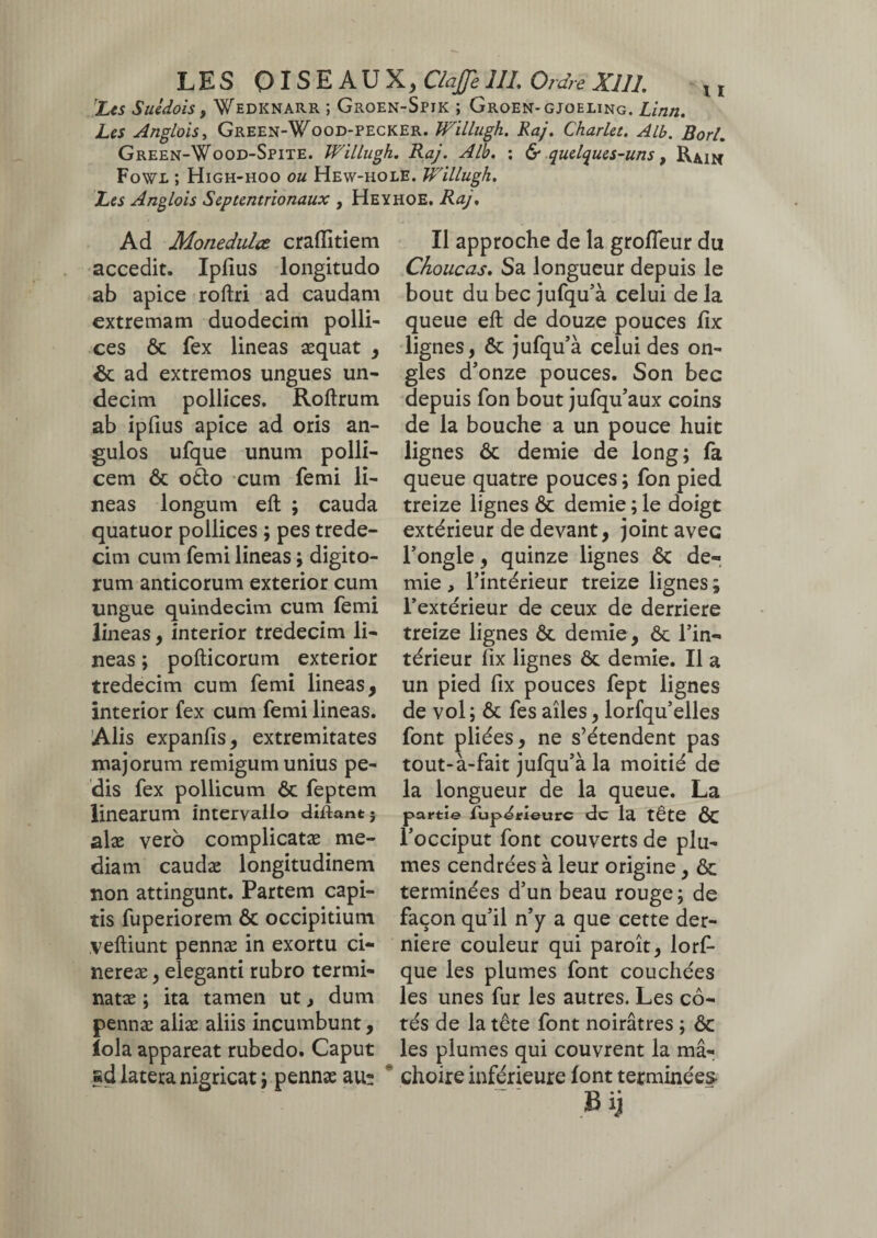 Les Suédois, Wedknarr ; Groen-Spik ; Groen-gjoeling. Linn. Les Anglais, Green-Wood-pecker. Willugh. Raj. Charlet. Alb. Borl. Green-Wood-Spite. Willugh. Raj. Alb. : & quelques-uns 9 Rau* Fowl ; High-hoo ou Hew-hole. Willugh. Les Anglois Septentrionaux , Heyhoe. Raj. Ad Monedula crafîltiem accedit. Ipfius longitudo ab apice roftri ad caudam extremam duodecim polli¬ ces 6c fex lineas æquat , ôc ad extremos ungues un¬ decim pollices. Roftrum ab ipfius apice ad oris an¬ gulos ufque unum polli¬ cem ôc o£to cum femi li¬ neas longum eft ; cauda quatuor pollices ; pes trede- cim cum femi lineas ; digito¬ rum anticorum exterior cum ungue quindecim cum femi lineas, interior tredecim li¬ neas ; pofticorum exterior tredecim cum femi lineas, interior fex cum femi lineas. Alis expanfis, extremitates majorum remigum unius pe¬ dis fex pollicum ôc feptem linearum intervallo diflant; alæ vero complicatae me¬ diam caudæ longitudinem non attingunt. Partem capi¬ tis fuperiorem ÔC occipitium veftiunt pennae in exortu ci¬ nereae , eleganti rubro termi¬ natae ; ita tamen ut, dum pennae aliae aliis incumbunt, iola appareat rubedo. Caput ad latera nigricat ; pennae au- Il approche de la grofleur du Choucas. Sa longueur depuis le bout du bec jufqu’à celui de la queue eft de douze pouces fix lignes, ôc jufqu’à celui des on¬ gles d’onze pouces. Son bec depuis fon bout jufqu’aux coins de la bouche a un pouce huit lignes ôc demie de long; fa queue quatre pouces ; fon pied treize lignes ôc demie ; le doigt extérieur de devant, joint avec l’ongle, quinze lignes 6c de¬ mie , l’intérieur treize lignes ; l’extérieur de ceux de derrière treize lignes ôc demie, Ôc l’in¬ térieur fix lignes ôc demie. Il a un pied fix pouces fept lignes de vol; ôc fes ailes, lorfqu’elles font pliées, ne s’étendent pas tout-à-fait jufqu’à la moitié de la longueur de la queue. La partie fup^rieurc de la tête ÔC l’occiput font couverts de plu¬ mes cendrées à leur origine, ôc terminées d’un beau rouge; de façon qu’il n’y a que cette der¬ nière couleur qui paroît, lorf- que les plumes font couchées les unes fur les autres. Les cô¬ tés de la tête font noirâtres ; ôc les plumes qui couvrent la mâ¬ choire inférieure font terminées Bij