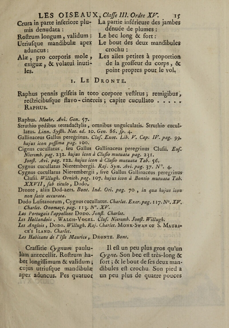 Crura in parte inferiore plu¬ mis denudata : Roftrum longum, validum : Utriufque mandibulæ apex aduncus : Alæ, pro corporis mole , exiguæ , & volatui inuti¬ les. i. Le La partie inférieure des jambes dénuée de plumes : Le bec long ôc fort : Le bout des deux mandibules crochu : Les ailes petites à proportion de la groffeur du corps, ôc point propres pour le vol. D r o N T E. Raphus pennis grifeis in toto corpore veftitus ; remigibus, re&ricibufque flavo - cinereis ; capite cucullato ..... Raphus. Raphus. Moehr. Avi. Gen. ^7. Struthio pedibus tetrada&ylis, omnibus unguiculatis, Struthio cucul¬ latus. Linn. Syjlh. Nat. ed. 10. Gen. 86. fp. 4. Gallinaceus Gallus peregrinus. Cluf. Exot. Lib. V. Cap. IV. pag. 99. hujus icon pejjima pag. 100. Cig nus cucullatus , feu Gallus Gallinaceus peregrinus Clufii. Euf Nieremb. pag. 232. hujus icon à Clujîo mutuata pag. 23 r. Jonji. Avi. pag. 122. hujus icon à Clujîo mutuata Tab. 56. Cygnus cucullatus Nierembergii. Raj. Syn. Avi. pag. 37. N°. 4. Cygnus cucullatus Nierembergii , live Gallus Gallinaceus peregrinus Clufii. JVillugh. Ornith. pag. 107. hujus icon à Bontio mutuata Tab. XXVllyfub titulo y Dodo.- Dronte, aliis Dod-aers. Bout. Ind. Ori. pag. 70 , in qua hujus icon non fatis accurata. Dodo Lufitanorum, Cygnus cucullatus. Charlet. Exer.pag. 117. N°. XV. Charlet. Onoma^t. pag. 113. A/0. XV, Les Portugais P appellent Dodo. Junjl. Charlet. Les Hollandais , Walgh-Vogel. Cluf. Nierernb. Jonji. JVillugh. Les Anglois , Dodo. JVillugh. Raj. Charlet. Monk-Swan of S. Mauri- ce’s Iland. Charlet. Les Habitans de Tljle Maurice ,, Dronte. Bout. Craflitie Gygnum paulu¬ lum antecellit. Roftrum ha¬ bet longiiïimum ôc validum ; cujus utriufque mandibulæ apex aduncus. Pes quatuor Il eft un peu plus gros qu’un Cygne. Son bec eft très-long ôc fort ; ôc le bout de fes deux man¬ dibules eft crochu. Son pied a un peu plus de quatre pouces