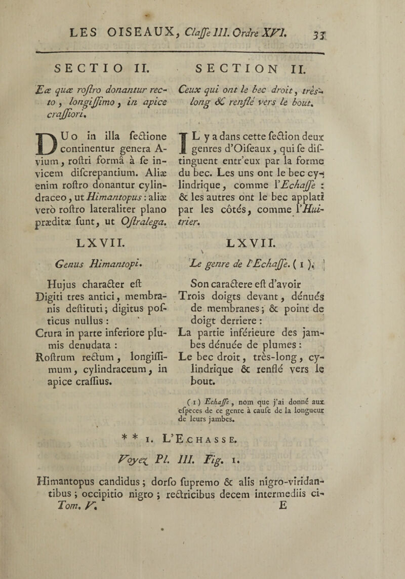 \ SECTIO II. SECTION II. F ce quæ rojîro donantur rec- to longiJJi) cra ajjiori. imo p in apice DUo in ilia feétione continentur genera A- vium, roftri forma à fe in¬ vicem difcrepandum. Aliæ enim roftro donantur cylin- draceo, ut Himantopus : aliæ vero roftro lateraliter piano præditæ funt, ut OJlralega. L X V11. Ceux qui ont le bec droit, très'-* long SC renflé vers le bout. IL y a dans cette fe£tion deux genres d’Oifeaux , qui fe dis¬ tinguent entr’eux par la forme du bec. Les uns ont le bec cy-< lindrique, comme l’Echajfe : & les autres ont le bec applatï par les côtés, comme Y Hui- tri er. L X V11. Genus Himantopi. Hujus charaéter eft Digiti tres antici, membra¬ nis deftituti; digitus pof- ticus nullus : Crura in parte inferiore plu¬ mis denudata : Roftrum reftum , longifli- mum, cylindraceum , in apice craflius. Le genre de JEchajfe. ( i ). 1 Son caraétere eft d’avoir Trois doigts devant, dénués de membranes ; ôt point de doigt derrière : La partie inférieure des jam¬ bes dénuée de plumes : Le bec droit, très-long , cy¬ lindrique ôc renflé vers le bout. ( i ) EchaJJe, nom que j’ai donné aux cfpeces de ce genre à caufe de la longueur de leurs jambes. * * I. L’E.chasse, Voye^ Pl. 111. Fig. i. Himantopus candidus ; dorfo fupremo & alis nigro-vîridan- tibus ; occipitio nigro ; re&ricibus decem intermediis ci- Tom. y~% E