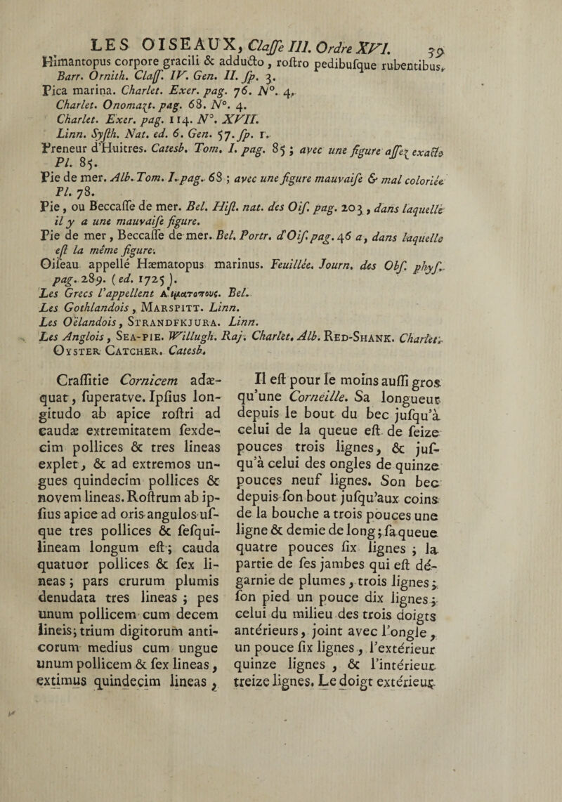 LES OISEAUX, ClaJJe 111. Ordre XVI. gp. Hîmantopus corpore gracili & addu&o, roftro pedibufque rubentibus Barr. Ornith. Claf IV. Gen. II. fp. 3. Pica marina. Charlct. Exer. pag. 76. N°. 4,. Charlet. Onomayt. pag. 68. N°. 4. Charlct. Exer. pag. 114. N°. XVII. Linn. Syjlh. Nat. ed. 6. Gen. tf.fp. r. Preneur d’Huitres. Catesb. Tom. 1. pag. 85 ; avec une figure affer exacte PI. 85. Pie de mer. Alb. Tom. Lpag. 68 ; avec une figure mauvaife & mal coloriée Tl. 78. Pie , ou Beccafle de mer. Bel. Hifi. nat. des O if. pag. 203 , dans laquelle il y a une mauvaife figure. Pie de mer , Beccafle de mer. Bel. Portr. dé O if pag. 46 a> dans laquelle efi la même figure-. Oifeau appelle Hæmatopus marinus. Feuillée. Journ. des Obf phyfi. pag. l&y. ( ed. 1725 ). Les Grecs Vappellent A'tnuTowovc. Bel. Les Gothlandois , Marspitt. Linn. Les Oelandois, Strandfkjura. Linn. Les Anglois, Sea-pie. Willugh. Raj. Charlct, Alb. Red-Shank. Charlet,- Oyster Catcher. Catesb, Craffitie Cornicem adae¬ quat, fuperatve. Ipfïus lon¬ gitudo ab apice roftri ad caudae extremitatem fexde- cim pollices ôc tres lineas explet , ôc ad extremos un¬ gues quindecim pollices ôc novem lineas. Roftrum ab ip- (ius apice ad oris angulos uf- que tres pollices ôc fefqui- lineam longum eft; cauda quatuor pollices ôc fex li¬ neas ; pars crurum plumis denudata tres lineas ; pes unum pollicem cum decem lineis; trium digitorum anti¬ corum medius cum ungue unum pollicem & fex lineas, extimus quindecim lineas , Il eft pour le moins auflî gros qu’une Corneille. Sa longueur depuis le bout du bec jufqu’à celui de la queue eft de feize pouces trois lignes, ôc juf¬ qu’à celui des ongles de quinze pouces neuf lignes. Son bec depuis fon bout jufqu’aux coins de la bouche a trois pouces une ligne ôc demie de long ; faqueue quatre pouces ftx lignes ; la partie de fes jambes qui eft dé¬ garnie de plumes, trois lignes; fon pied un pouce dix lignes^ celui du milieu des trois doigts antérieurs, joint avec l’ongle, un pouce fix lignes , l’extérieur quinze lignes , ôc l’intérieue treize lignes. Le doigt extérieur