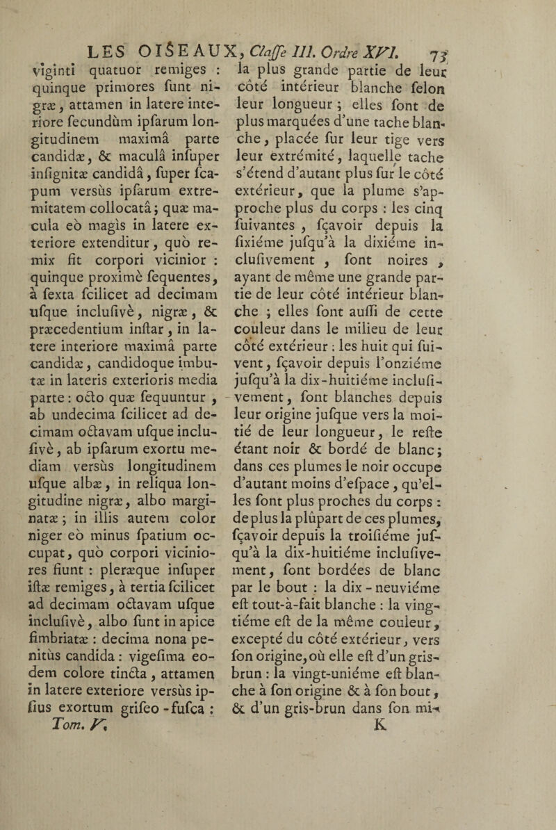 viginti quatuor remiges : la plus grande partie de leur côté intérieur blanche félon leur longueur ; elles font de plus marquées d’une tache blan* che, placée fur leur tige vers leur extrémité, laquelle tache s’étend d’autant plus fur le côté extérieur, que la plume s’ap¬ proche plus du corps : les cinq Suivantes , fçavoir depuis la fixiéme jufqu’à la dixiéme in- clufivement , font noires , ayant de même une grande par¬ tie de leur côté intérieur blan¬ che ; elles font aufli de cette couleur dans le milieu de leur côté extérieur ; les huit qui fui- vent, fçavoir depuis l’onzième jufqu’à la dix-huitiéme inclufi- vement, font blanches depuis leur origine jufque vers la moi¬ tié de leur longueur, le refte étant noir ôc bordé de blanc; dans ces plumes le noir occupe d’autant moins d’efpace, qu’el¬ les font plus proches du corps : déplus la plupart de ces plumes, fçavoir depuis la troifiéme juf¬ qu’à la dix-huitiéme inclufive- quinque primores funt ni- græ, attamen in latere inte¬ riore fecundum ipfarum lon¬ gitudinem maximâ parte candidæ, & macula infuper infignitæ candida, fuper fca- pum versus ipfarum extre¬ mitatem collocatâ; quæ ma¬ cula eô magis in latere ex¬ teriore extenditur, quô re- mix fit corpori vicinior : quinque proximè fequentes, à fexta fcilicet ad decimam ufque inclufivè, nigræ, & præcedentium inftar , in la¬ tere interiore maximâ parte candidæ, candidoque imbu- tæ in lateris exterioris media parte: octo quæ fequuntur , ab undecima fcilicet ad de¬ cimam oêlavam ufque inclu¬ fivè , ab ipfarum exortu me¬ diam versus longitudinem ufque albæ, in reliqua lon¬ gitudine nigræ, albo margi- natæ ; in illis autem color niger eô minus fpatium oc¬ cupat, quô corpori vicinio¬ res fiunt : pleræque infuper iftæ remiges, à tertia fcilicet ad decimam oêtavam ufque inclufivè, albo funt in apice fimbriatæ : decima nona pe¬ nitus candida : vigefima eo¬ dem colore tinêla, attamen in latere exteriore versus ip- fius exortum grifeo-fufca: Tom. ment, font bordées de blanc par le bout : la dix - neuvième eft tout-à-fait blanche : la ving¬ tième eft de la même couleur, excepté du côté extérieur, vers fon origine, où elle eft d’un gris- brun : la vingt-uniéme eft blan¬ che à fon origine & à fon bout, & d’un gris-brun dans fon mU K