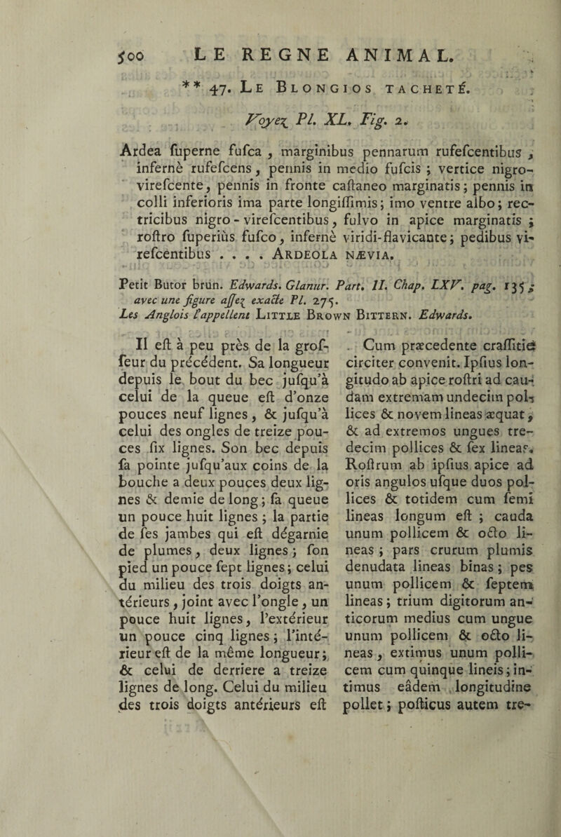 •. V * * 47. Le Blongios tacheté. Voye% PL. XL, Fig, 2* Ardea fuperne fufca , marginibus pennarum rufefcentibus , infernè rufefcens, permis in medio fufcis ; vertice nigro- virefcente, pennis in fronte caftaneo marginatis; pennis in colli inferioris ima parte longiffimis; imo ventre albo; rec¬ tricibus nigro - virefcentibus, fulvo in apice marginatis ; roftro fuperius fufco, infernè viridi-flavicante; pedibus vi' refcentibus .... Ardeola nævia. Petit Butor brun. Edwards. Glanur. Part, 11. Chap. LXV. pag. r 3 5 avec une figure afije£ exacte FL 275. Les Anglois l'appellent Littie Brown Bittern. Edwards, 'a ♦ r, fi {t M i> * j ' > * * * . rt** ; •• ~rr Il eft à peu près de la grof- feur du précédent. Sa longueur depuis le bout du bec jufqu’à celui de la queue eft d’onze pouces neuf lignes , & jufqu’à celui des ongles de treize pou¬ ces fix lignes. Son bec depuis fa pointe jufqu’aux coins de la bouche a deux pouces deux lig¬ nes & demie de long; fa queue un pouce huit lignes ; la partie de fes jambes qui eft dégarnie de plumes, deux lignes ; fon pied un pouce fept lignes ; celui du milieu des trois doigts an¬ térieurs , joint avec l’ongle, un pouce huit lignes, l’extérieur un pouce cinq lignes ; l’inté¬ rieur eft de la même longueur; & celui de derrière a treize lignes de long. Celui du milieu des trois doigts antérieurs eft Cum praecedente craflitie? circiter convenit. Ipfius lon¬ gitudo ab apice roftri ad cau¬ dam extremam undecim pol-j lices & novem lineas aequat, & ad extremos ungues tre- decim pollices & fex lineas* Roflrum ab ipfius apice ad oris angulos ufque duos pol¬ lices & totidem cum femi lineas longum eft ; cauda unum pollicem & odo li¬ neas ; pars crurum plumis denudata lineas binas ; pes unum pollicem & feptem lineas ; trium digitorum an¬ ticorum medius cum ungue unum pollicem & odo li¬ neas , extimus unum polli¬ cem cum quinque lineis;in¬ timus eâdem longitudine pollet ; pofticus autem tre-