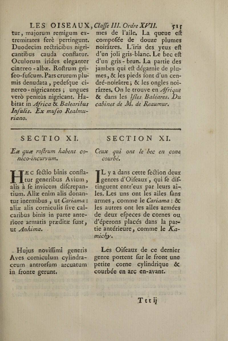 tur, majorum remigum ex¬ tremitates ferè pertingunt» Duodecim redtricibus nigri¬ cantibus cauda conflatur. Oculorum irides eleganter cinereo - albæ. Roftrum gri- feo-fufcum. Pars crurum plu¬ mis denudata , pedefque ci¬ nereo-nigricantes ; ungues vero penitus nigricant» Ha¬ bitat in Africa 6c Balearibus Infulis. Ex mufeo Realmu- riano. mes de l’aîle, La queue eft compofée de douze plumes noirâtres. L'iris des yeux eft d’un joli gris-blanc. Le bec eft d’un gris-brun. La partie des jambes qui eft dégarnie de plu¬ mes, 6c les pieds font d’un cen- dré-noirâtre; 6c les ongles noi¬ râtres, On le trouve en Afrique 6c dans les Jfles Baléares. Du cabinet de M, de Reaumur. SECTIO XI. Eæ quœ roflrum habent co- nico-incurvum. Hæ c fe£Uo binis confla¬ tur generibus Avium, alis à fe invicem difcrepan- tium. Aliæ enim alis donan¬ tur inermibus , ut Cariama : aliæ alis corniculis ftve cal¬ caribus binis in parte ante¬ riore armatis præditæ funt, Ut Anhima. Hujus noviflimi generis Aves corniculum cylindra- ceum antrorfum arcuatum in fronte gerunt. SECTION XI. Ceux qui ont le bec en cône courbé, IL y a dans cette feâion deux genres d’Oifeaux , qui fe dis¬ tinguent entr’eux par leurs ai¬ les. Les uns ont les ailes fans armes , comme le Cariama : ÔC les autres ont les ailes armées de deux efpeces de cornes ou d’éperons placés dans la par¬ tie antérieure, comme le Ka- michy. Les Oifeaux de ce dernier genre portent fur le front une petite corne cylindrique ôc courbée en arc en-avant. T11 ijj