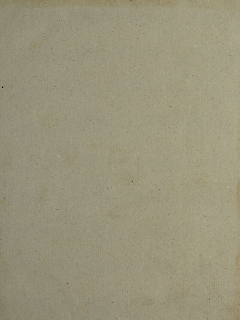 ■ ;> > y % K / . . ~ ' • *■ - 4 ' ’ . ' * - tj & S » l ;vt: