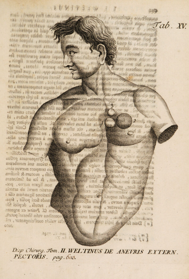 T', i ! jLffi, id Ci.Q • ^3 imihriBgu 3itodB3i -£q9^ * allloq tioii obo !rf ioilqub e ilidai JjhOgW XS ,jfaioq bsisdil at)sv zud «mnofri&rn ina umrn *v,oo Bovitin sioGttiaj o mdkiil $ mutom kf> * ^ V * ^ >/ ii . b <* 13 Q o V' - :-j Ii o.l fi 1 * P'i ifdffi Z&p Chirvry. Jom. //. WEETINUS DE ANETHIS EXTERN. TECTORIS. pa9.6~os. ' J*