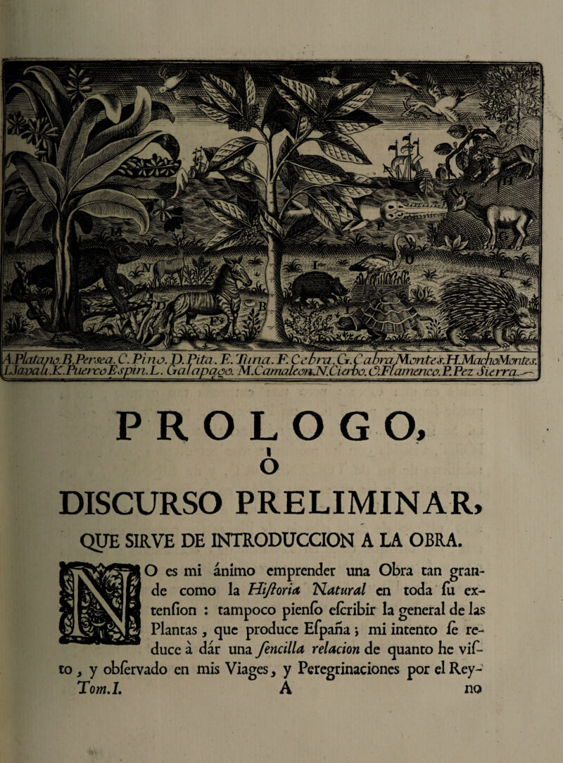 APlatano.B.Persea. C.Pino. D.Pita.F. Tuna. F. Cebra. Ct.C abra M.ont¿s.Pl.MachoMúnt¿s. mJSf.Ckrbo. ó.Flamtíi ^uercüFspm. L. Oral apago. M.CarnakónJsí.Ciirbü. ó.FlarmnwP. Pez Sierra, PROLOGO, DISCURSO PRELIMINAR, QUE SIRVE DE INTRODUCCION A LA OBRA. O es mi ánimo emprender una Obra tan gran¬ de como la Hifioria Natural en toda íu ex- tenfion : tampoco pienfo eícribir la general de las Plantas, que produce Efpana *, mi intento íe re¬ duce á dar una fencilla relación de quanto he vi£- to > y obíervado en mis Viages, y Peregrinaciones por el Rey- Tom.l. A no