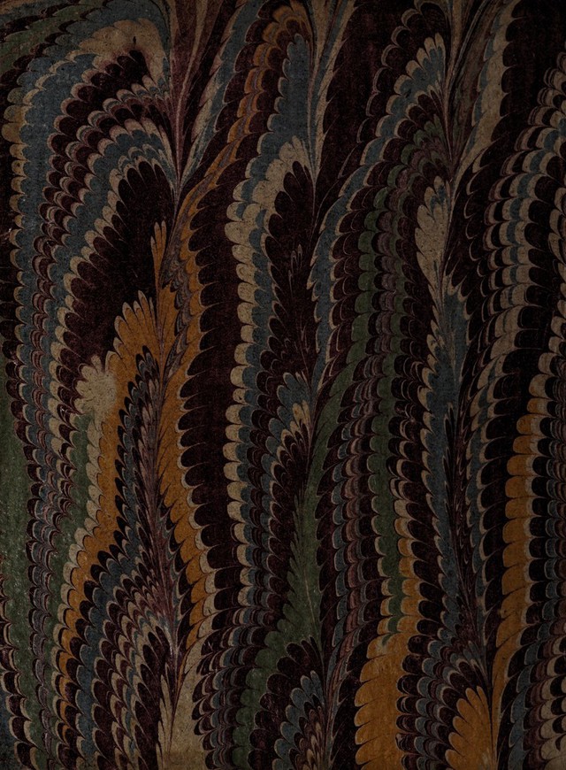 No text description is available for this image