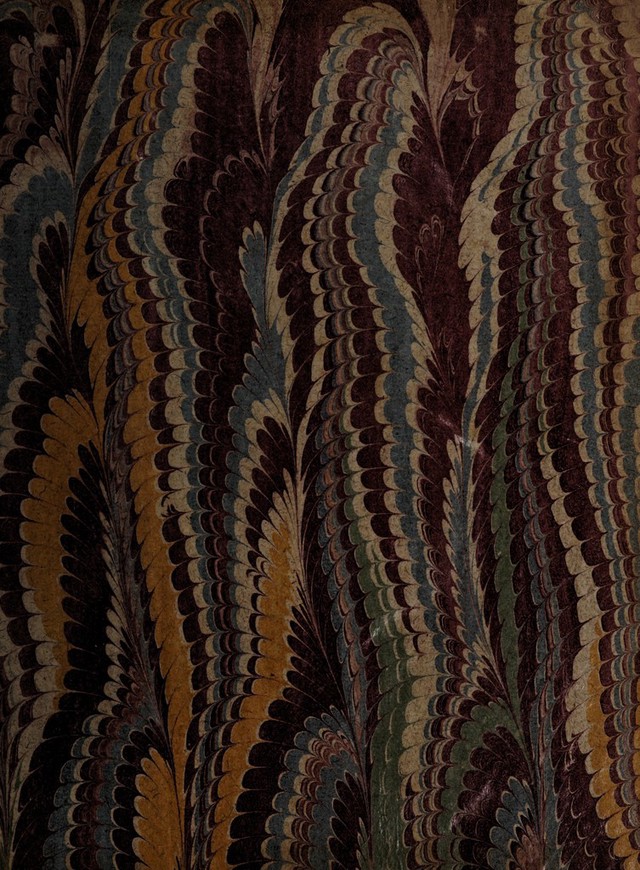 No text description is available for this image