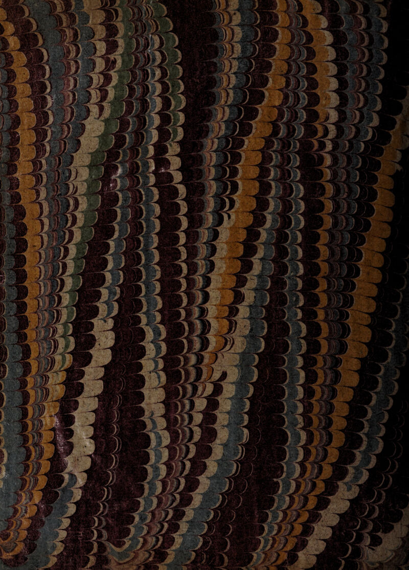 WJT.Í '.Mj C>* J t íwSSS V ’ : ■ WJm < _<flr ... W^-vog^Sp. ' ^ líMl''. I a| l'^y’Tja 5S¿>;s Jfjfi i 10 /. ¿ r. JBr.-t’*n k . ^ !y\>-'J íHi; j ||s|j j, (J Pf s W ^PjB S“Y :f| i ■ 1 h| í® ¡i; i/H F ¡ F jjmk ¡s^.—<*ÉÍ •-; Bf BR.Vi IrJ / ? i 1; / ¿  .--•k'-*rfSL:Cv íi] iftVIK Vi s