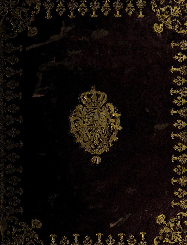 No text description is available for this image