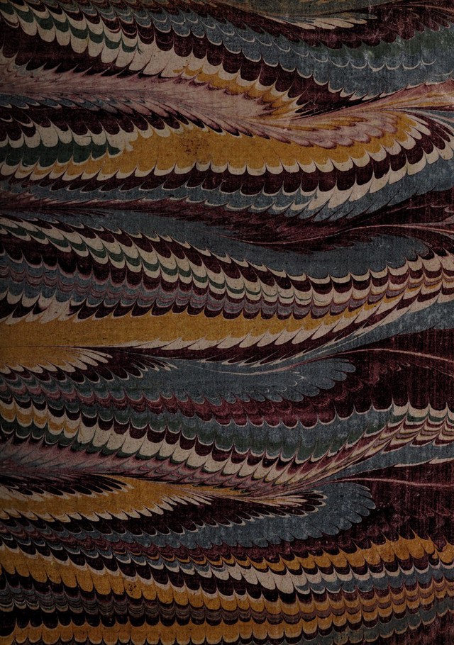 No text description is available for this image